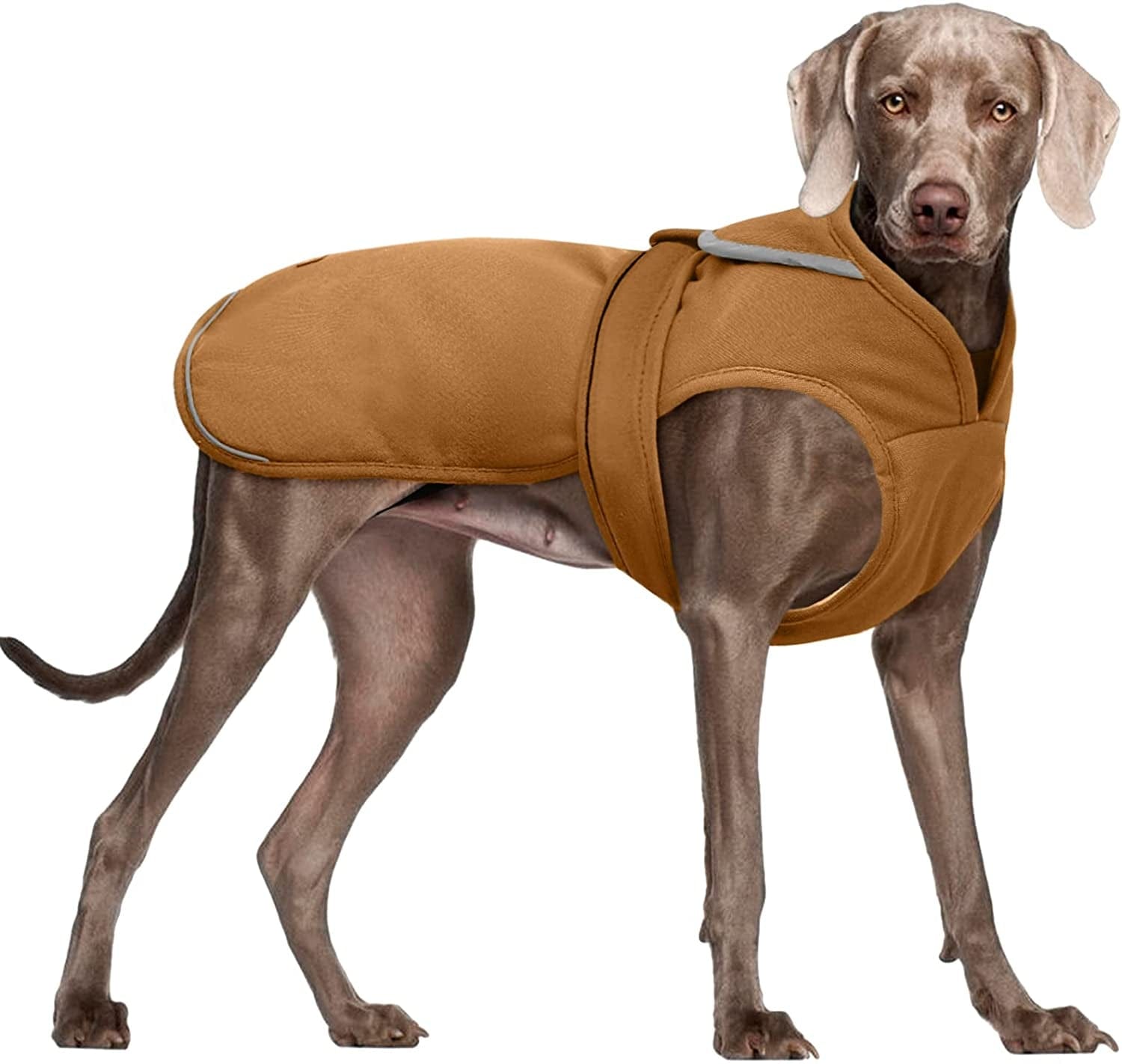 Kuoser Canvas Dog Winter Coat, Warm Dog Jacket Reflective Fleece Dog Cold Weather Coat Warm Doggie Clothes Waterproof Dog Vest with Zipper Leash Hole for Small Medium Large Dogs Animals & Pet Supplies > Pet Supplies > Dog Supplies > Dog Apparel Kuoser Brown XX-Large (Pack of 1) 