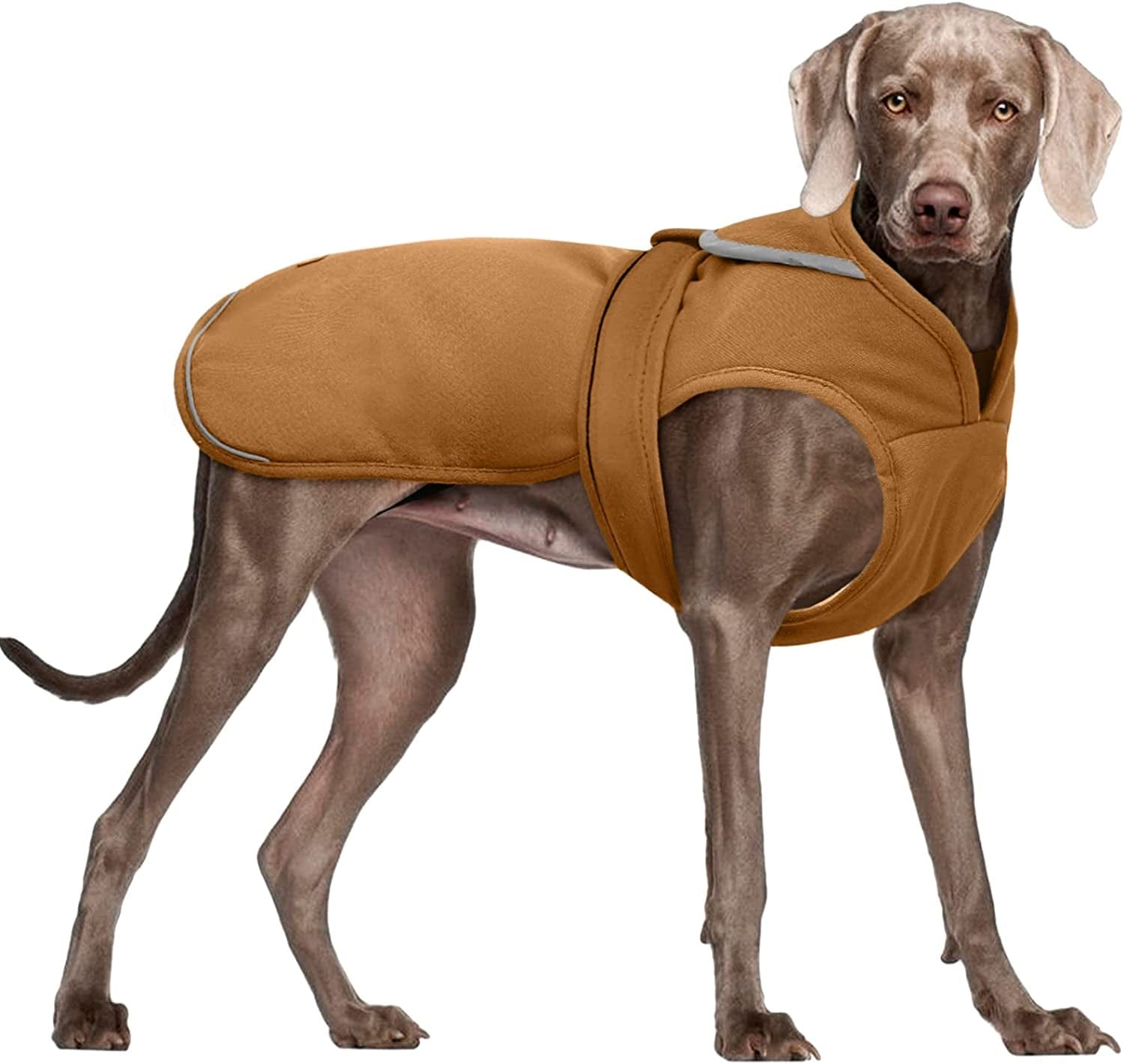 Kuoser Canvas Dog Winter Coat, Warm Dog Jacket Reflective Fleece Dog Cold Weather Coat Warm Doggie Clothes Waterproof Dog Vest with Zipper Leash Hole for Small Medium Large Dogs Animals & Pet Supplies > Pet Supplies > Dog Supplies > Dog Apparel Kuoser Brown XXX-Large (Pack of 1) 