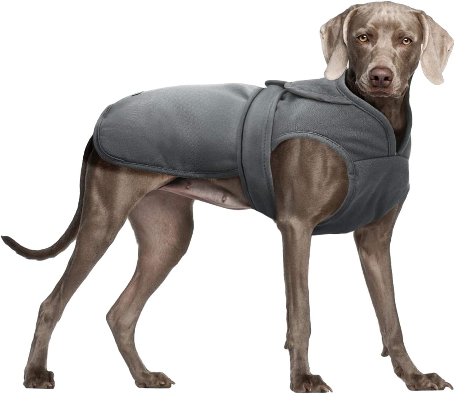 Kuoser Canvas Dog Winter Coat, Warm Dog Jacket Reflective Fleece Dog Cold Weather Coat Warm Doggie Clothes Waterproof Dog Vest with Zipper Leash Hole for Small Medium Large Dogs Animals & Pet Supplies > Pet Supplies > Dog Supplies > Dog Apparel Kuoser Grey X-Large (Pack of 1) 