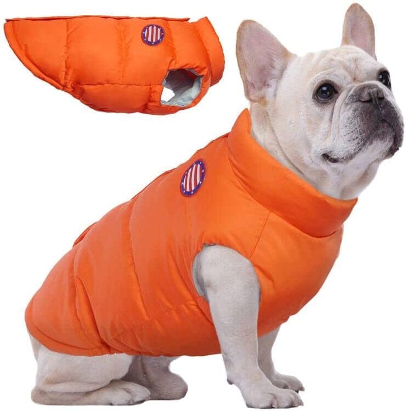Kuoser Dog Winter Coat Padded Vest, Windproof Dogs Puffer Jacket, Warm Soft Puppy Cold Weather Clothes Doggie Insulated Outwear, Lightweight Pet Winter Outdoor Costume for Small Medium Dogs, XS-XL Animals & Pet Supplies > Pet Supplies > Dog Supplies > Dog Apparel Kuoser Orange X-Small (Chest Girth: 13.8") 