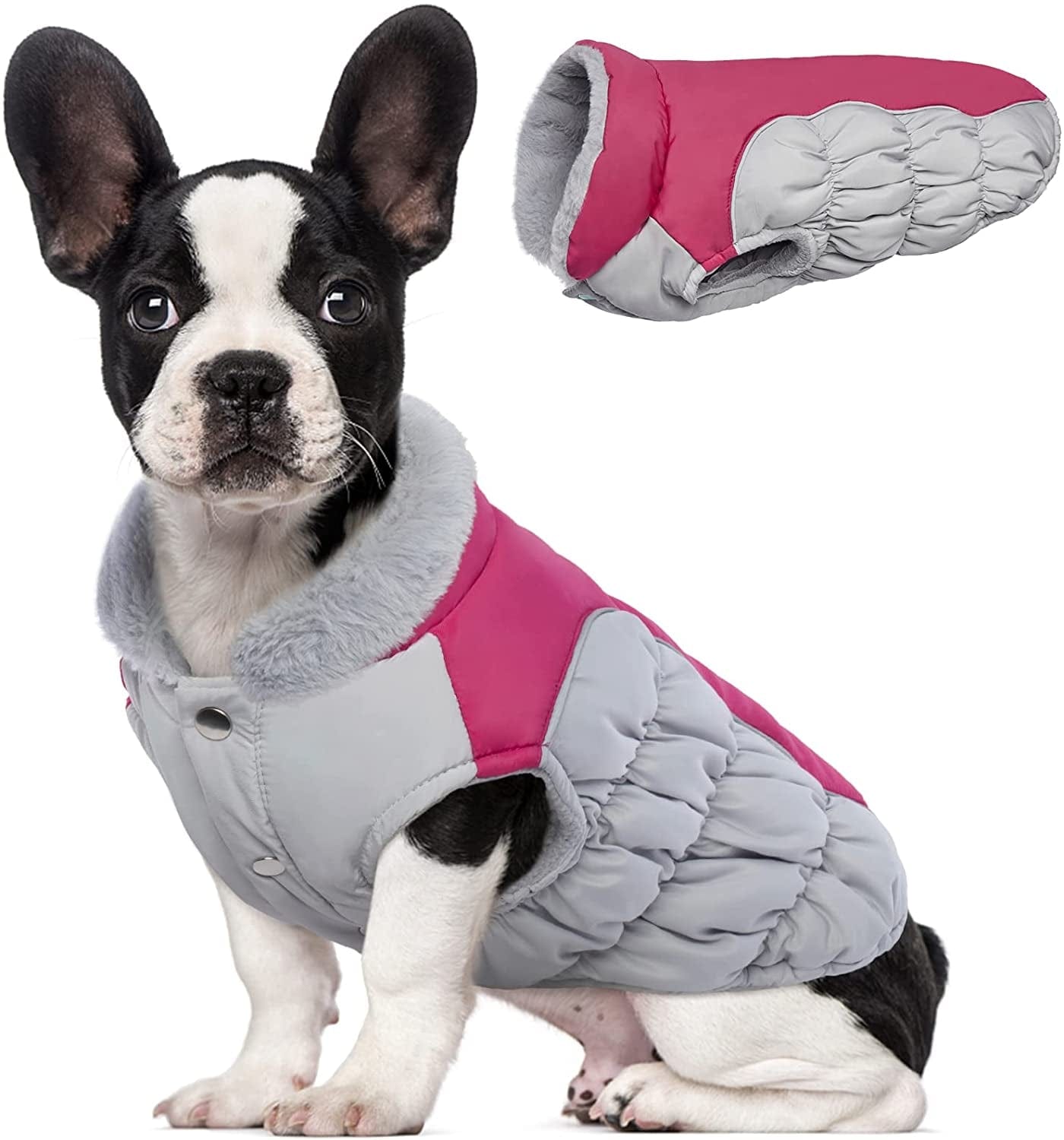 Kuoser Padded Dog Coat, Warm Dog Jacket with Thicken Furry Collar, Dog Cold Weather Coats for Small Medium Dogs Reflective Windproof Dog Clothes XS-XL Animals & Pet Supplies > Pet Supplies > Dog Supplies > Dog Apparel Kuoser Rose Red X-Small (Chest Girth: 11.8-13.8'') 