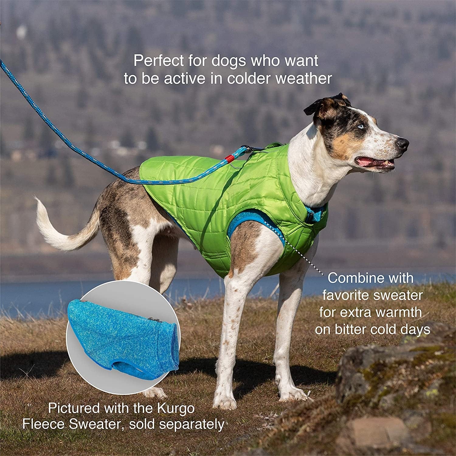 Kurgo Dog Jacket, Reversible Winter Jacket for Dogs, Pet Coat for Hiking, Water Resistant, Reflective, Lightweight, Wear with Harness, Athletic, Loft Jacket (Liberty Floral, XS) Animals & Pet Supplies > Pet Supplies > Dog Supplies > Dog Apparel Radio Systems Corporation   