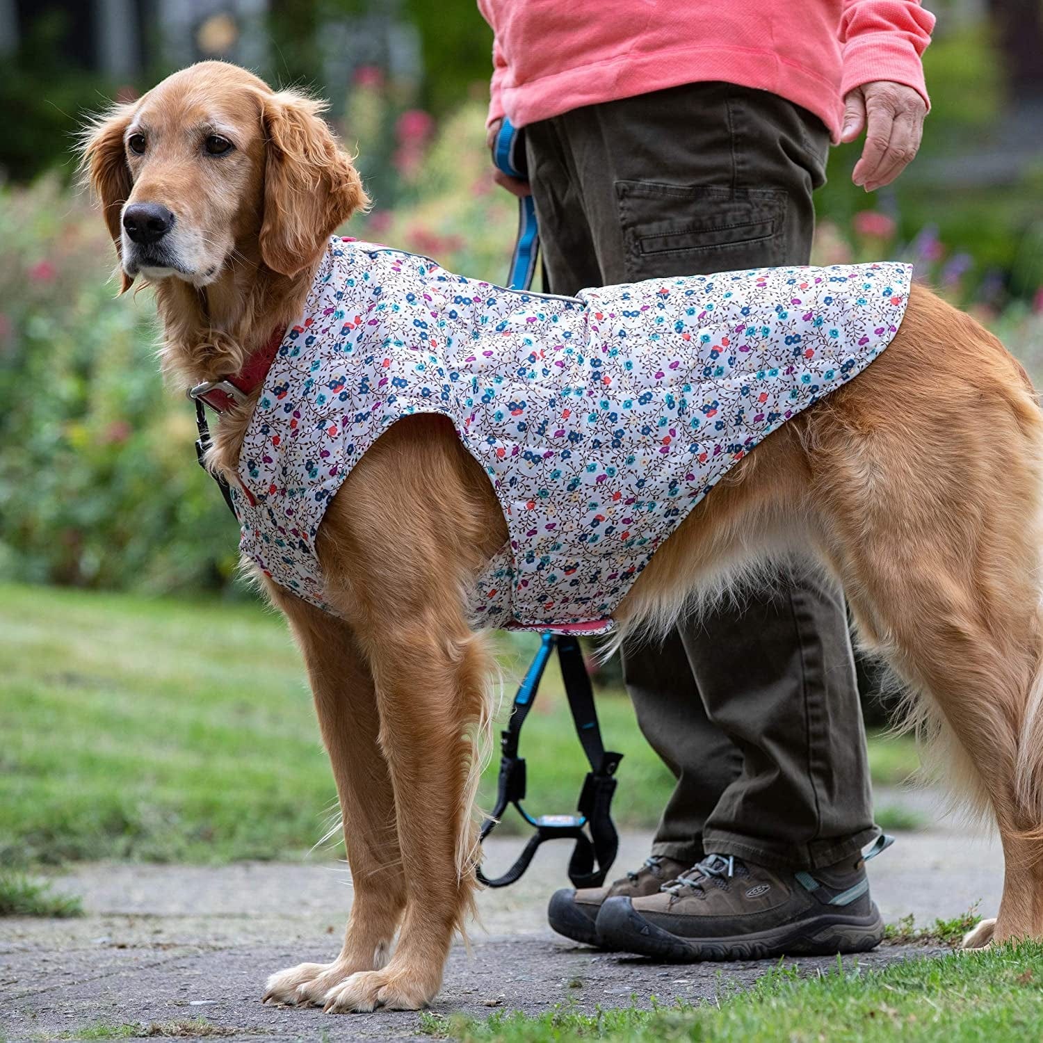 Kurgo Dog Jacket, Reversible Winter Jacket for Dogs, Pet Coat for Hiking, Water Resistant, Reflective, Lightweight, Wear with Harness, Athletic, Loft Jacket (Liberty Floral, XS) Animals & Pet Supplies > Pet Supplies > Dog Supplies > Dog Apparel Radio Systems Corporation   