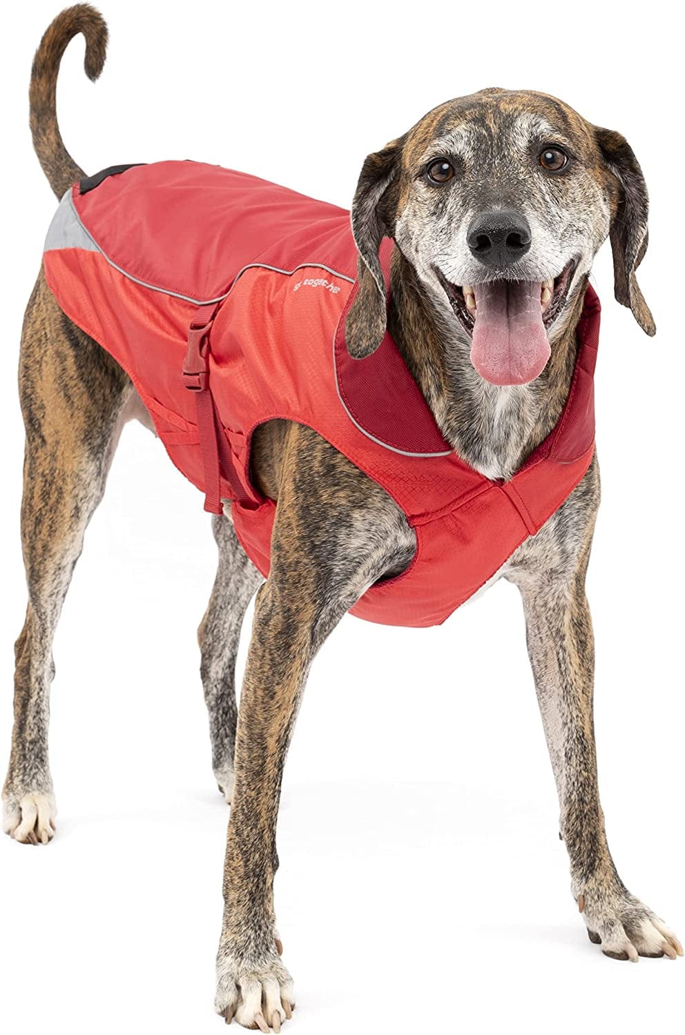 Kurgo North Country Dog Coat, Dog Winter Jacket, Waterproof Dog Jacket, Dog Snow Jacket and Windproof Dog Coat, Reflective Dog Fleece Animals & Pet Supplies > Pet Supplies > Dog Supplies > Dog Apparel Radio Systems Corporation Red M (Neck: 19", Girth: 26"-35", Back: 20.5") 