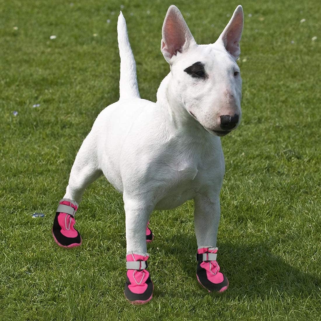 Kyeese 4Pcs Dog Boots Waterproof Anti-Slip Bottom Dog Shoes with Reflective Straps Adjustable Soft Lining Inside Animals & Pet Supplies > Pet Supplies > Dog Supplies > Dog Apparel kyeese   