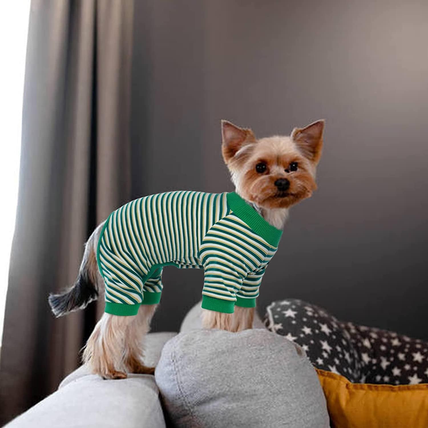 Dog pajamas hot sale medium