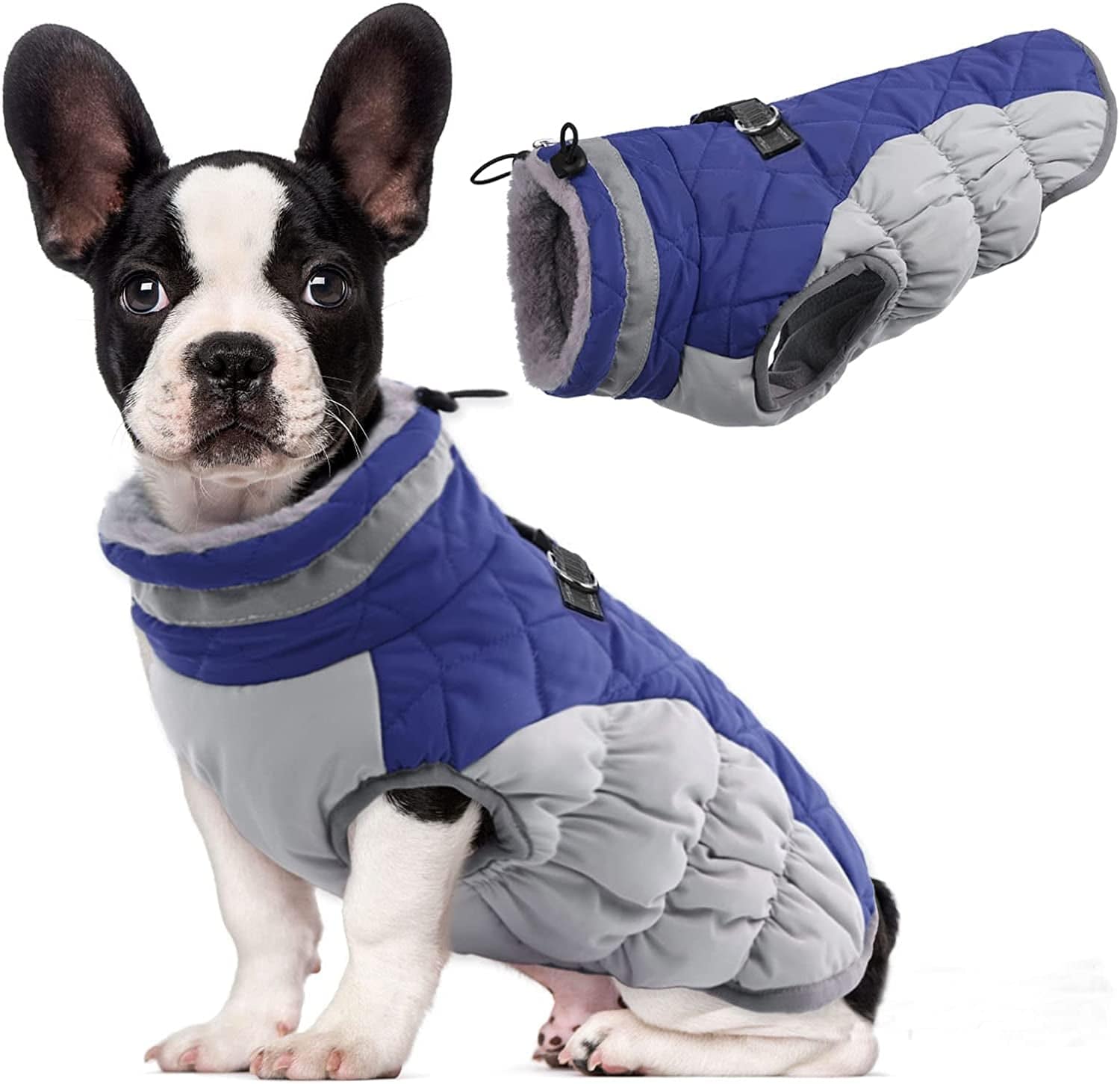 Dog coat 2024 with d ring