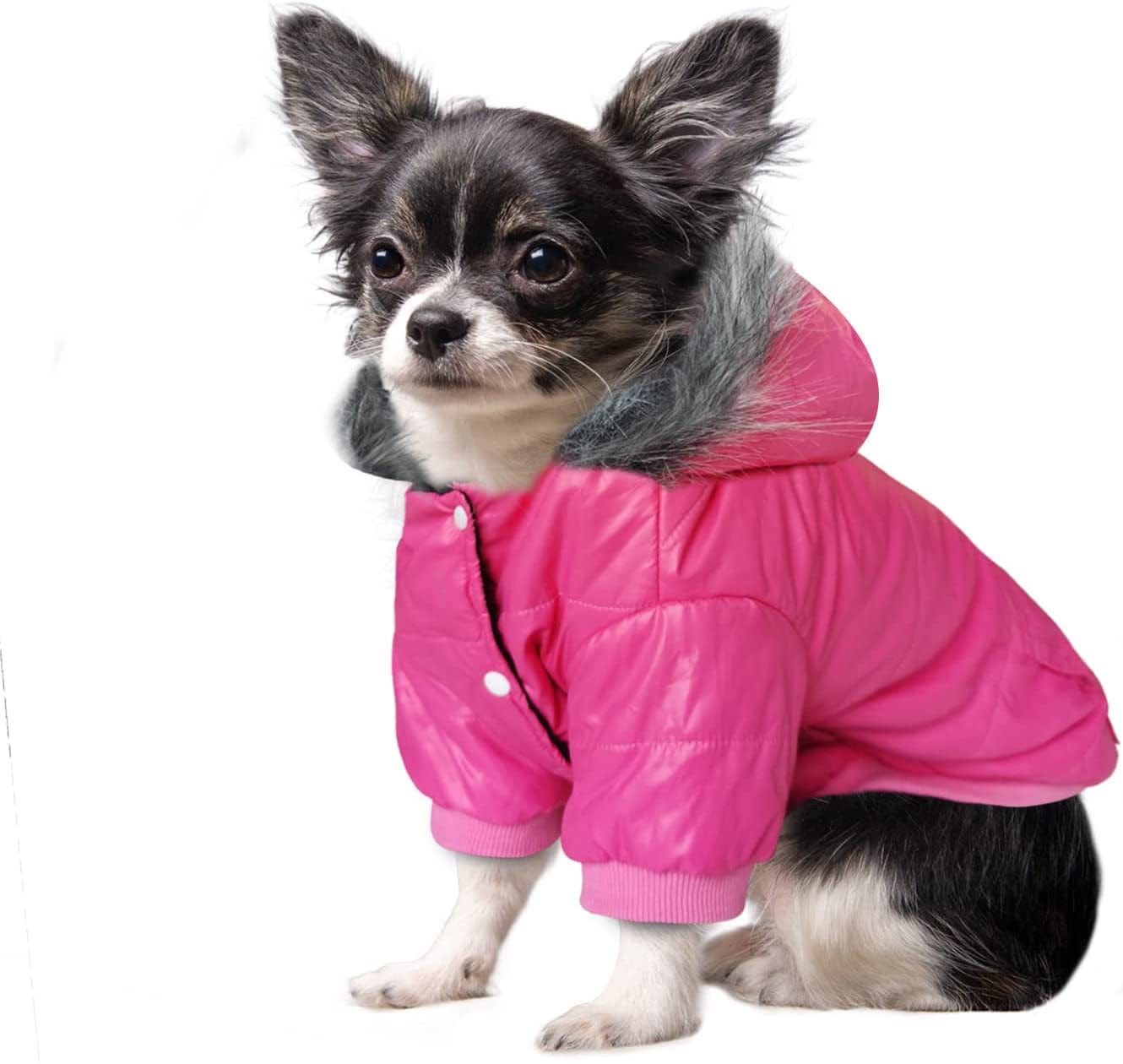 LESYPET Dog Coat Doggie Winter Coat for Small Medium Dogs Girl Dog Jacket, Pink Medium Animals & Pet Supplies > Pet Supplies > Dog Supplies > Dog Apparel LESYPET Pink M (5-8 lbs) 