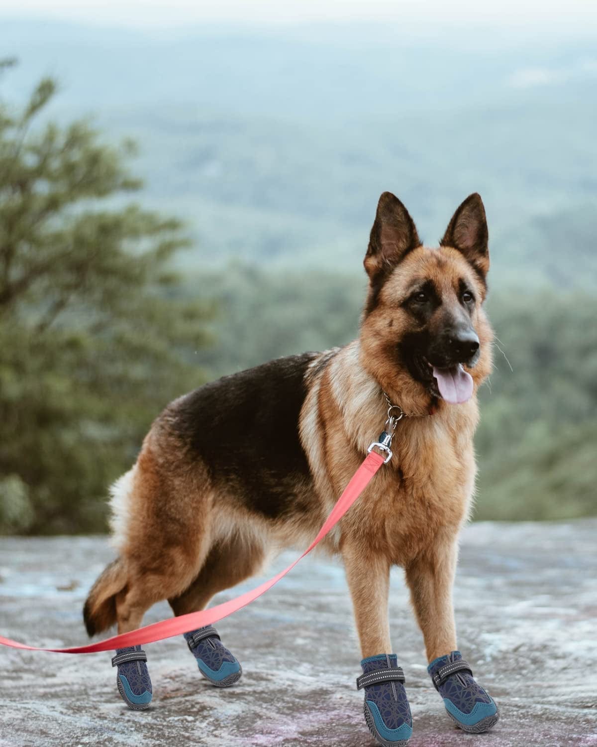 LETSQK Dog Boots, Dog Shoes with Adjustable Reflective Straps for Medium Large Dogs, Non-Slip Waterproof Snow Boots Rain Boots for Dogs, Warm Hiking Paw Protector for Medium Large Dogs, 4Pcs Animals & Pet Supplies > Pet Supplies > Dog Supplies > Dog Apparel LETSQK   