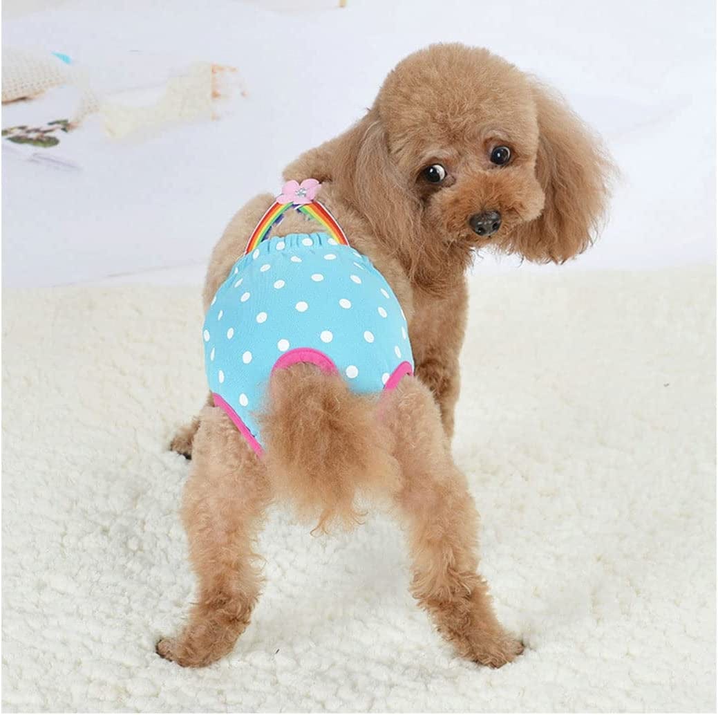 https://kol.pet/cdn/shop/products/liaoti-dog-sanitary-pants-pet-dog-cat-physiological-shorts-doggy-kitten-suspenders-underwear-pants-sanitary-briefs-panties-menstrual-pants-for-female-dog-cat-light-blue-large-40720697_0a54de2b-0279-4aa0-ad0b-a4f17520ca42_1445x.jpg?v=1678421706