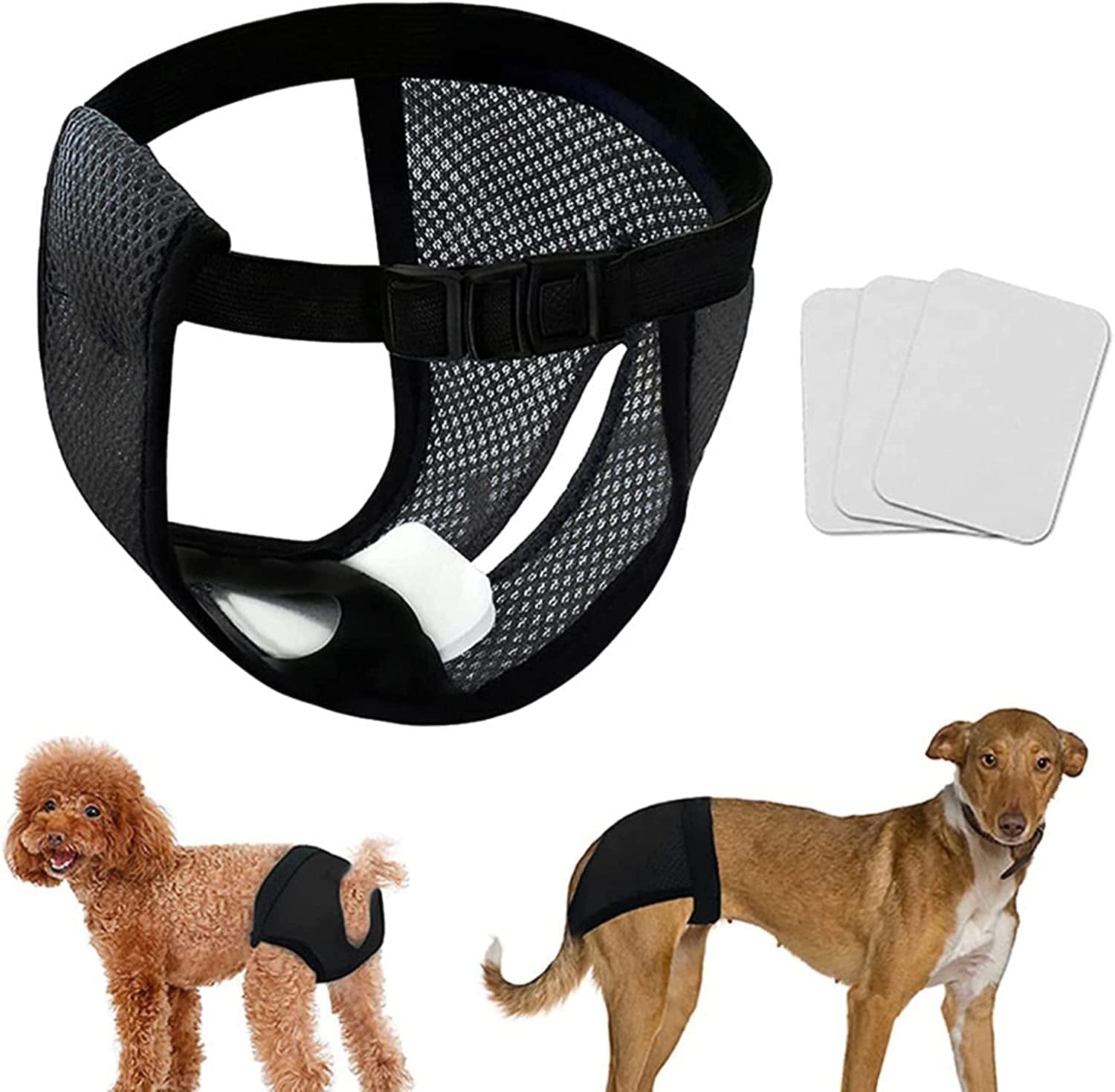 Women's Pet Accessories