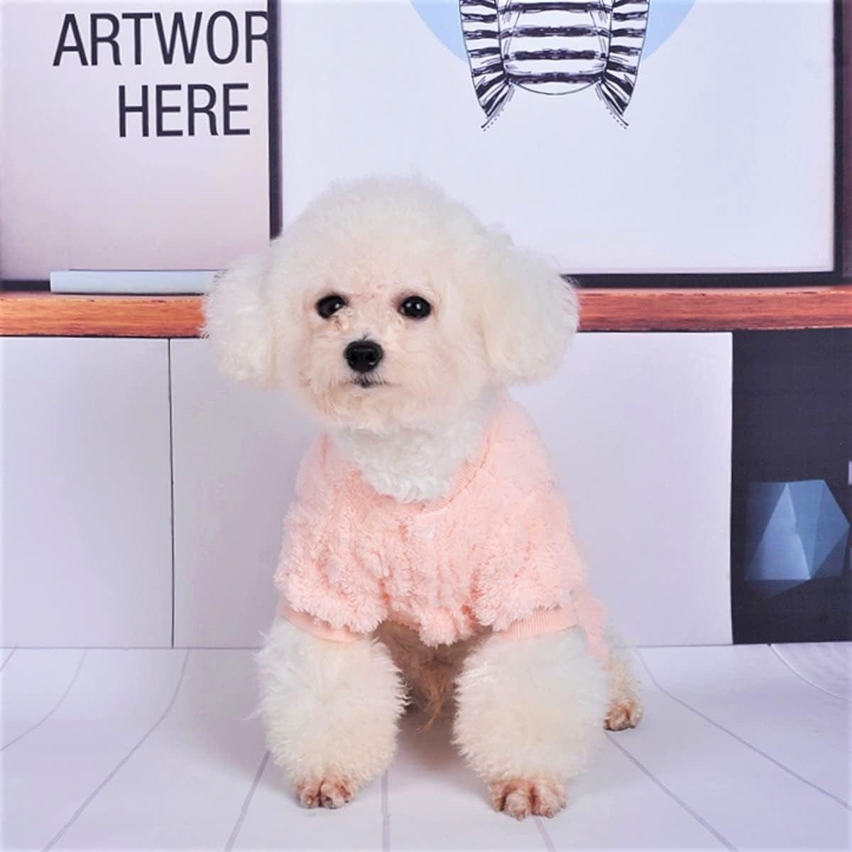 Loyanyy Plush Dog Pajamas for Cold Weather 4 Legged Clothes for Dog Cat Stretchy Puppy Kitten Onesie with Buttons Warm Soft Pet Jumpsuit Winter Coat Pink Medium Animals & Pet Supplies > Pet Supplies > Dog Supplies > Dog Apparel Loyanyy   