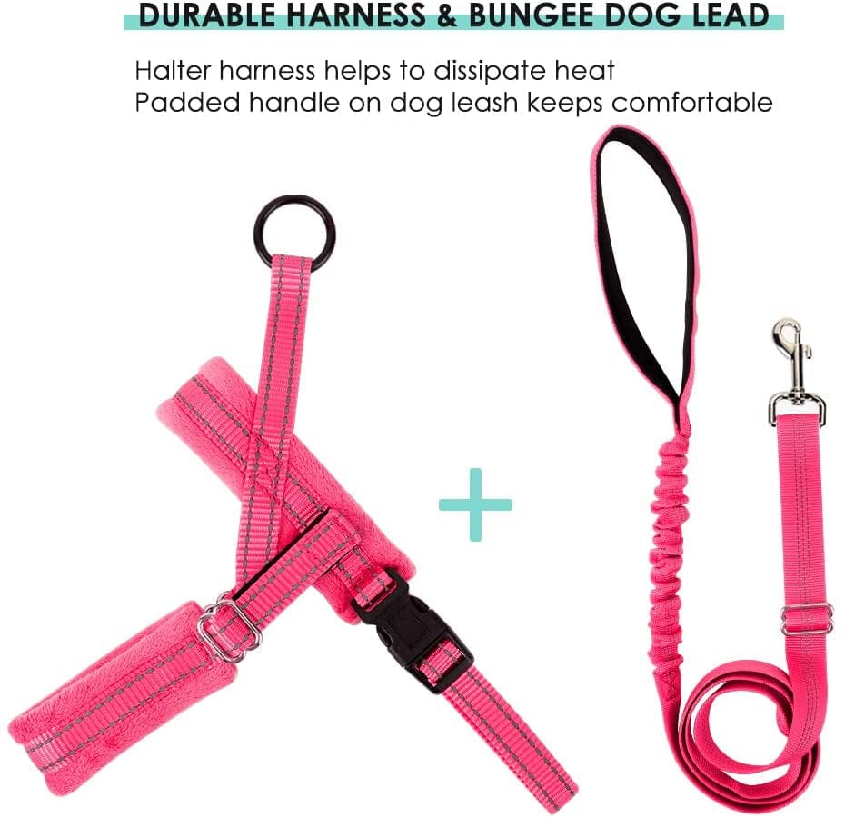 Lukovee Walking Dog Harness and Leash, Heavy Duty Adjustable Puppy Harness Soft Padded Reflective Vest Harness Anti-Twist 4FT Pet Lead Quick Fit Lightweight for Small Dog Cat (Xx-Small, Pink) Animals & Pet Supplies > Pet Supplies > Dog Supplies > Dog Apparel Lukovee   