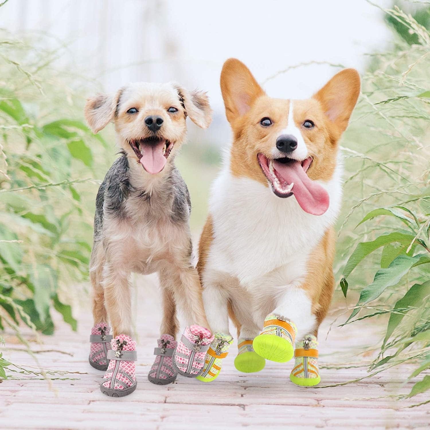 MAZORT Dog Boots, Doggy Anti-Slip Mesh Shoes with Gum-Rubber Soles, Pet Breathable Paw Protector with Zipper and Sticker Strap for Small Puppy (4#, Green) Animals & Pet Supplies > Pet Supplies > Dog Supplies > Dog Apparel MAZORT   