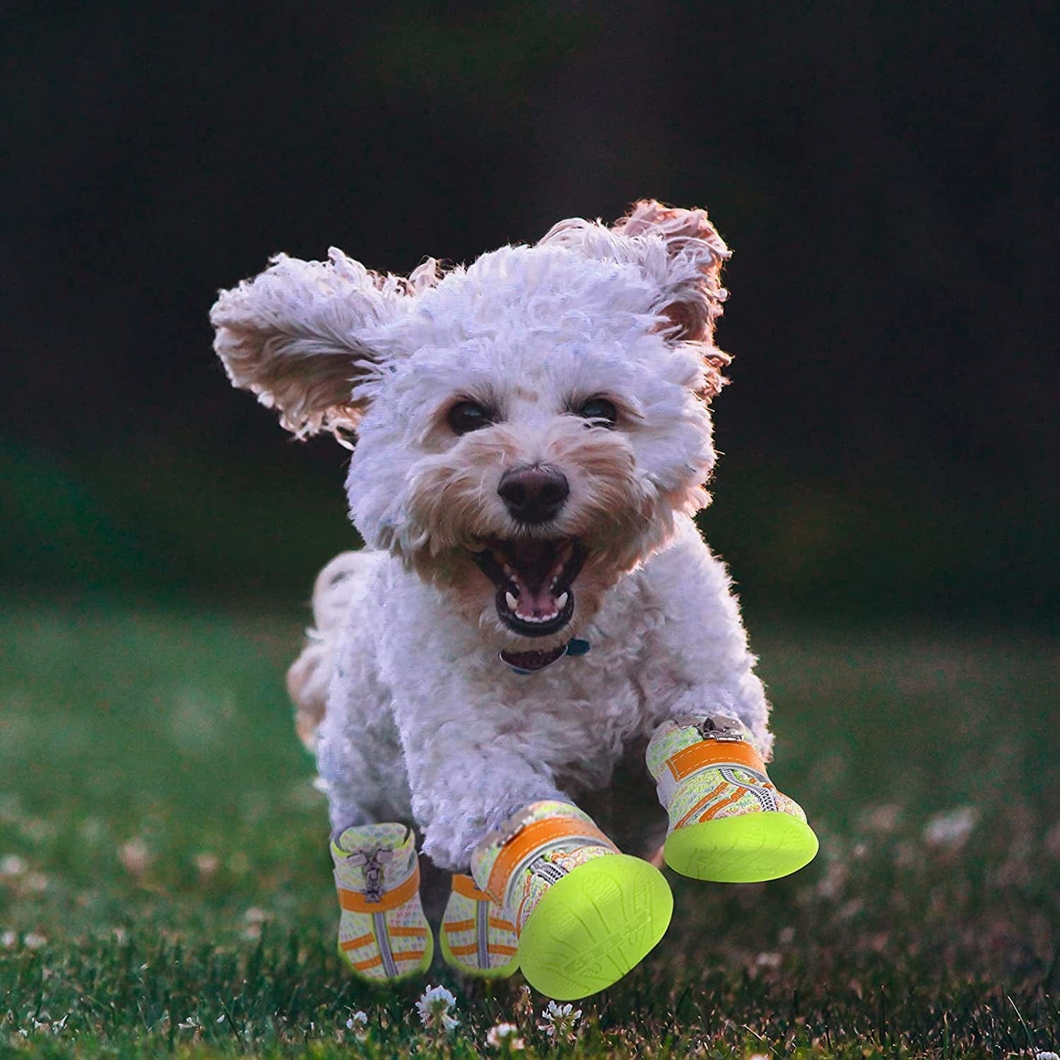 MAZORT Dog Boots, Doggy Anti-Slip Mesh Shoes with Gum-Rubber Soles, Pet Breathable Paw Protector with Zipper and Sticker Strap for Small Puppy (4#, Green) Animals & Pet Supplies > Pet Supplies > Dog Supplies > Dog Apparel MAZORT   
