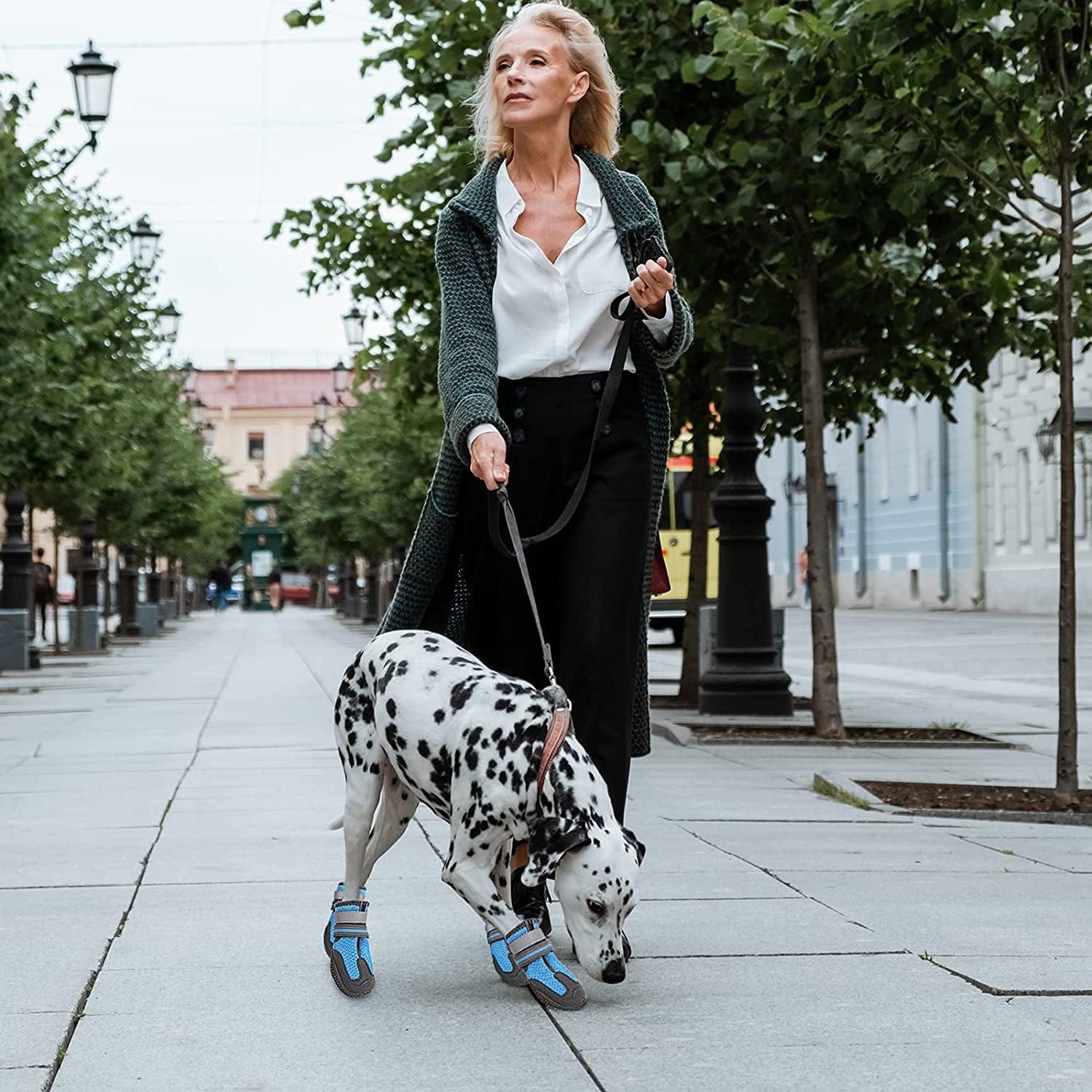 MAZORT Dog Shoes for Hot Pavement, Anti-Slip Breathable Dog Boots with Reflective & Adjustable Straps, Puppy Booties Paw Protectors for Medium Large Dogs, 4Pcs (6#, Blue) Animals & Pet Supplies > Pet Supplies > Dog Supplies > Dog Apparel MAZORT   