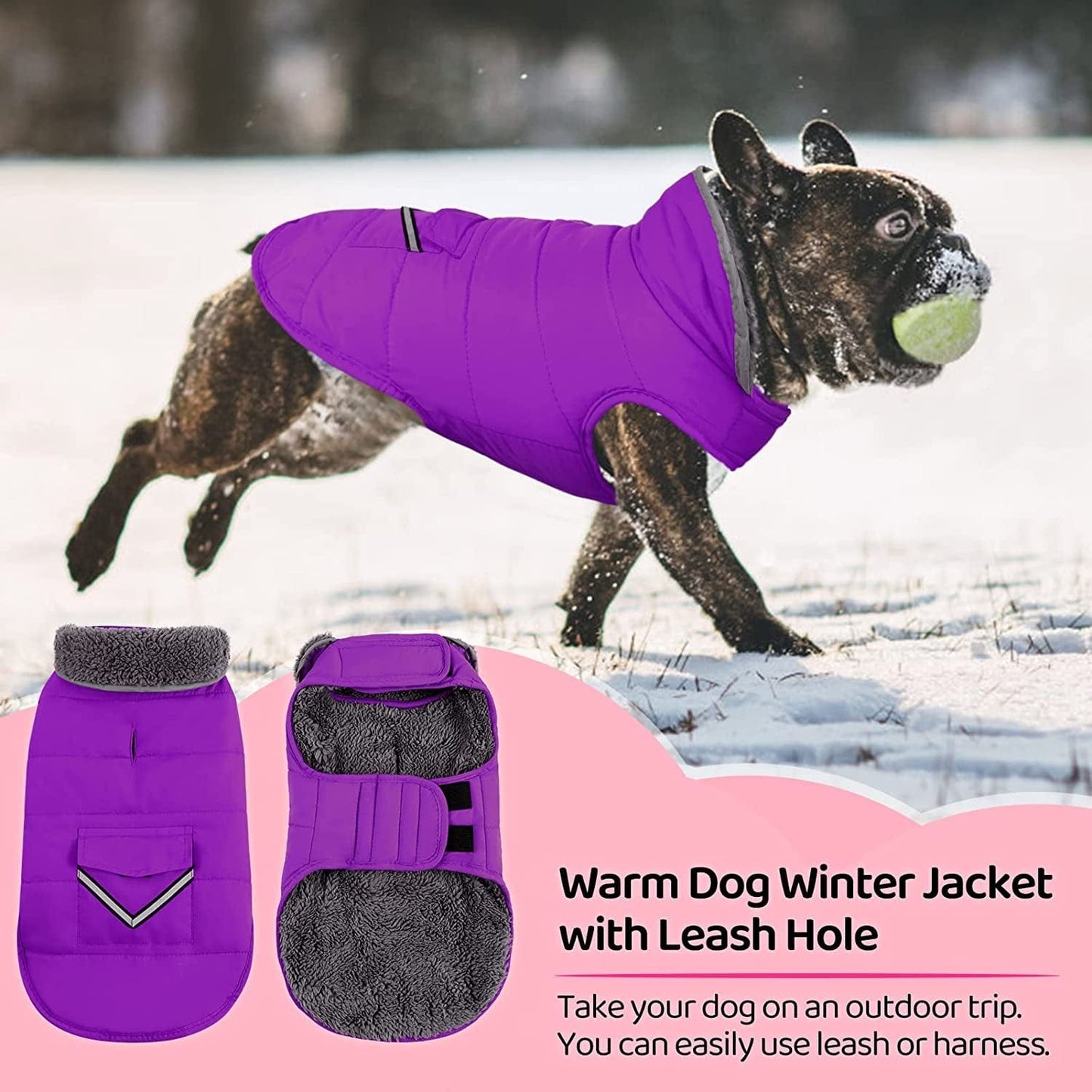 MIGOHI Warm Dog Coat, Winter Dog Jacket for Cold Weather, Reflective Windproof Dog Fleece Vest Thick Dog Apparel with Leash Hole and Furry Collar for Puppy Small Medium Large Dogs, Purple M Animals & Pet Supplies > Pet Supplies > Dog Supplies > Dog Apparel MIGOHI   
