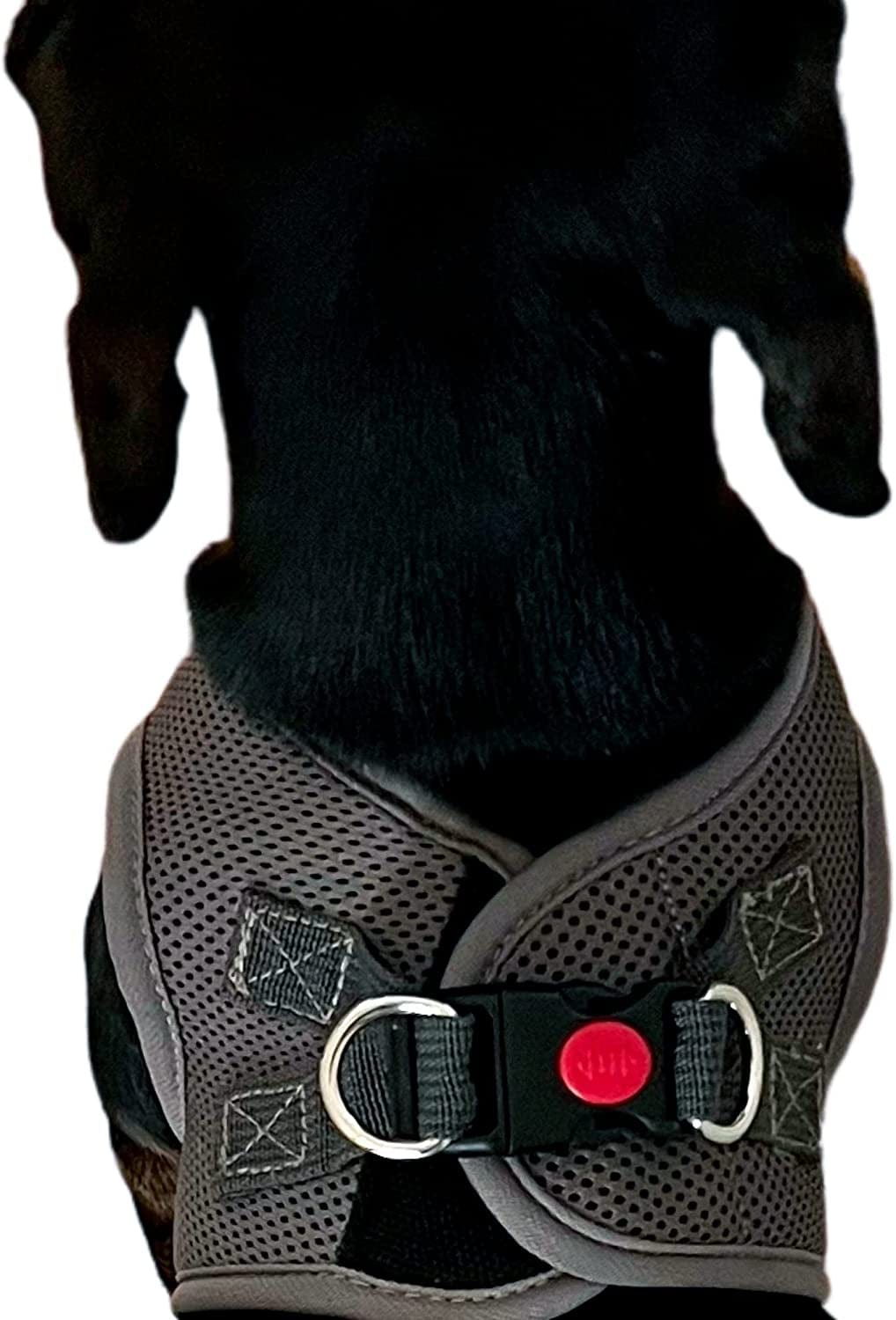 Milano Brands Set Dog Leash Retractable - with Poop Bags Dispenser/Dog Vest Harness/Step In/Air Mesh/Pull Free Animals & Pet Supplies > Pet Supplies > Dog Supplies > Dog Apparel Milano Brands   