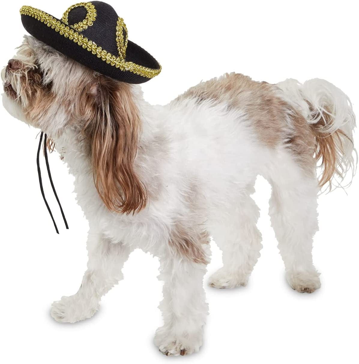 Dog Sombrero Hat Pet Serape Poncho Costume Multicolor Funny Dog