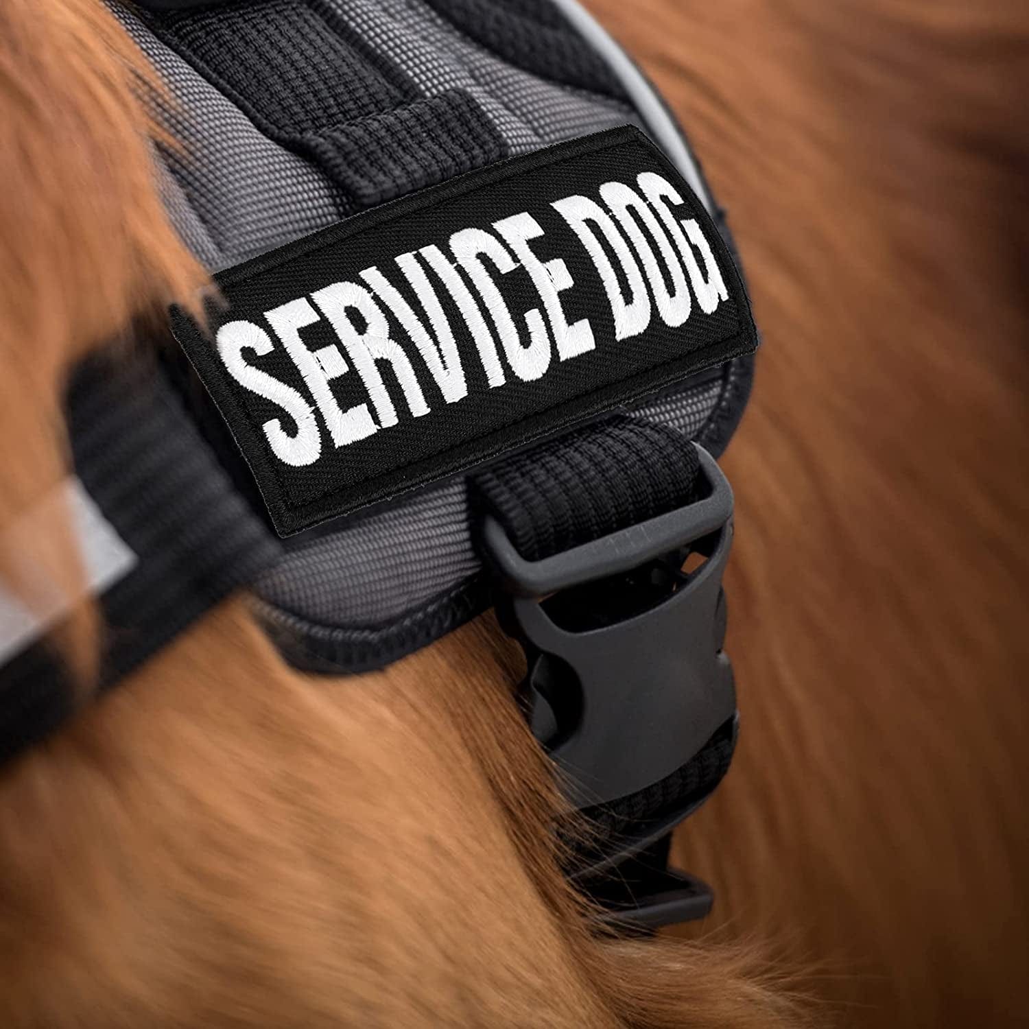 Molain Luminous Dog Vest Patches 6 Pcs Removable Dog Harness