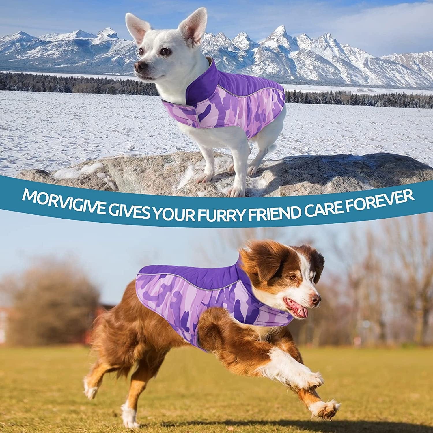 MORVIGIVE Camo Fleece Lining Winter Dog Coats, Reversible Waterproof Puppy Snow Jackets with Reflective Strips & Harness Hole, Windproof Warm Pet Vest Apparel for Small Medium Large Dogs Purple 2XL Animals & Pet Supplies > Pet Supplies > Dog Supplies > Dog Apparel MORVIGIVE   
