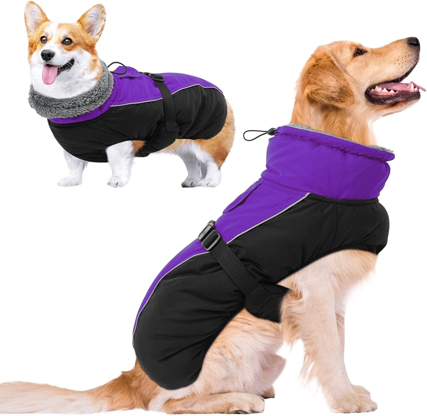 MORVIGIVE Windproof Turtleneck Winter Dog Coat, Thickened Fleece Lining Dog Jacket with Buckle Closure & Harness Hole, Reflective Cold Weather Dog Vest Clothes Pet Apparel for Small Medium Large Dogs Animals & Pet Supplies > Pet Supplies > Dog Supplies > Dog Apparel MORVIGIVE Purple XXX-Large 