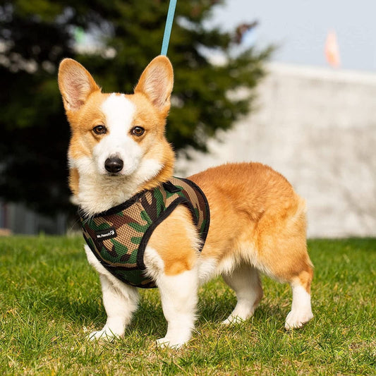 Mr. Peanut'S Puptrek Small Dog/Cat Soft Mesh Step in Harness Vest (Extra Small, Camo) Animals & Pet Supplies > Pet Supplies > Dog Supplies > Dog Apparel Mr. Peanut's Camo Small 