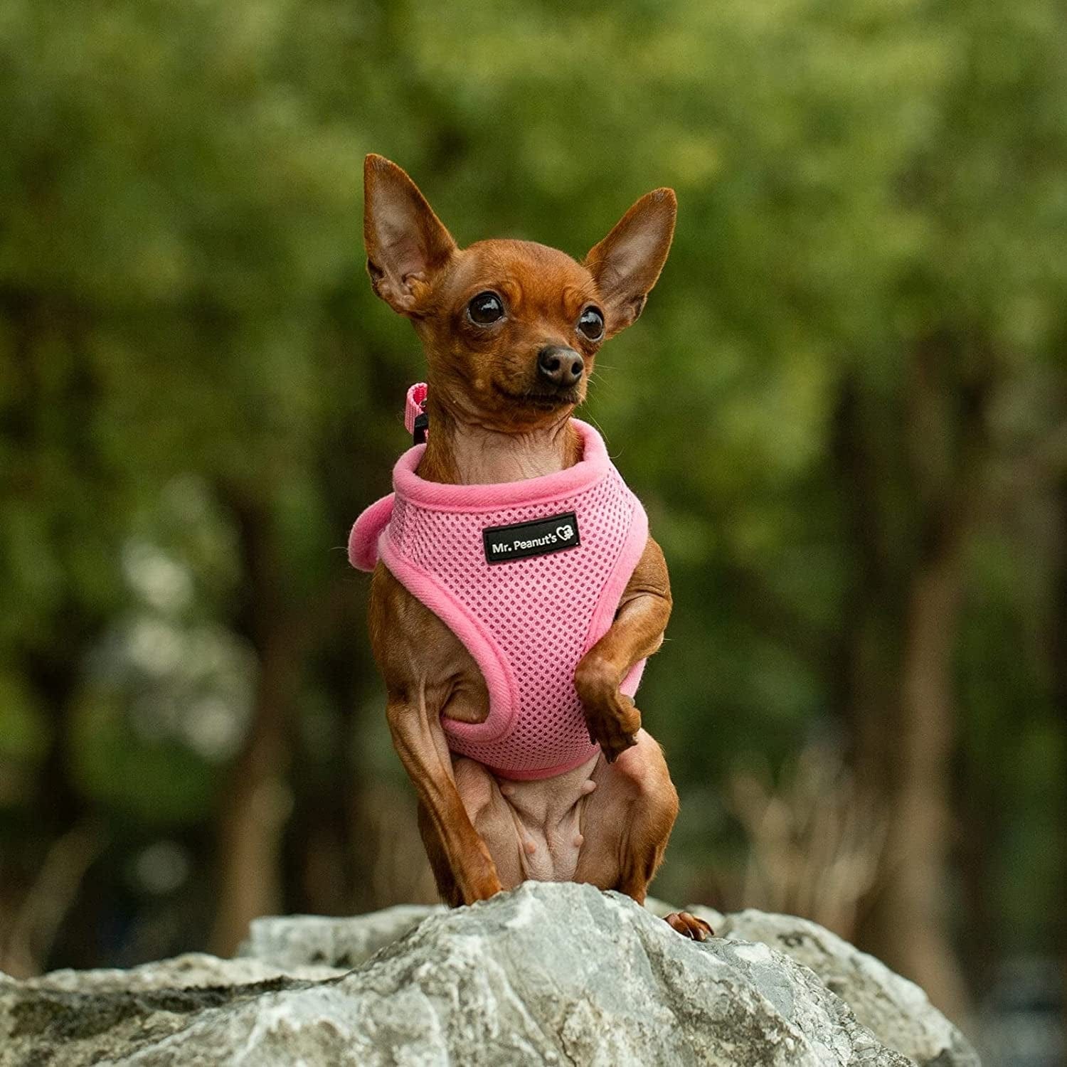 Mr. Peanut'S Puptrek Small Dog/Cat Soft Mesh Step in Harness Vest (Extra Small, Camo) Animals & Pet Supplies > Pet Supplies > Dog Supplies > Dog Apparel Mr. Peanut's Pink Small 