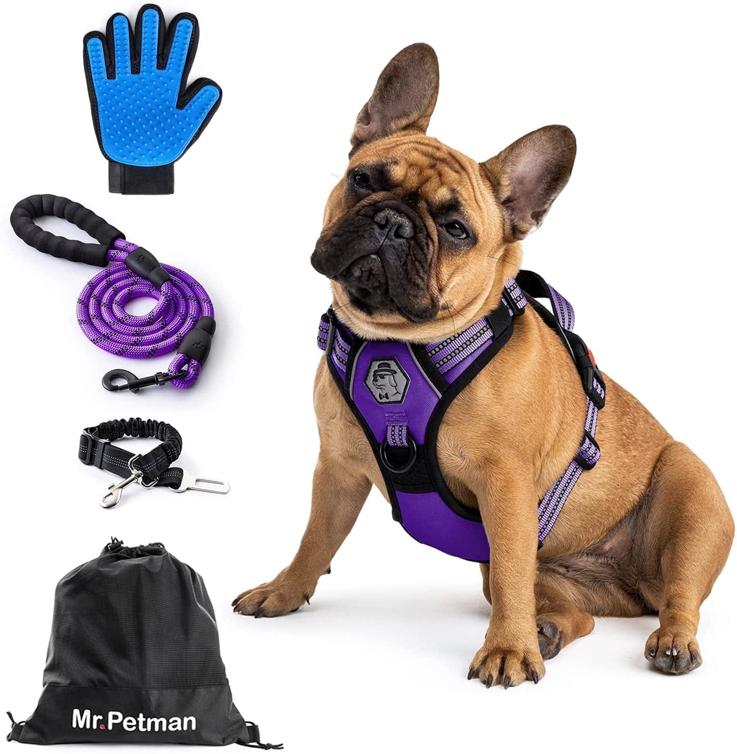 MR. PETMAN No Pull Dog Harness with Leash, Seat Belt, Grooming Glove - No Choke Dog Harness Set for Small Medium Large Dogs- Reflective Adjustable Dog Vest Harnesses with Handle for Walking Training Animals & Pet Supplies > Pet Supplies > Dog Supplies > Dog Apparel Mr. Petman Modern Purple Medium 