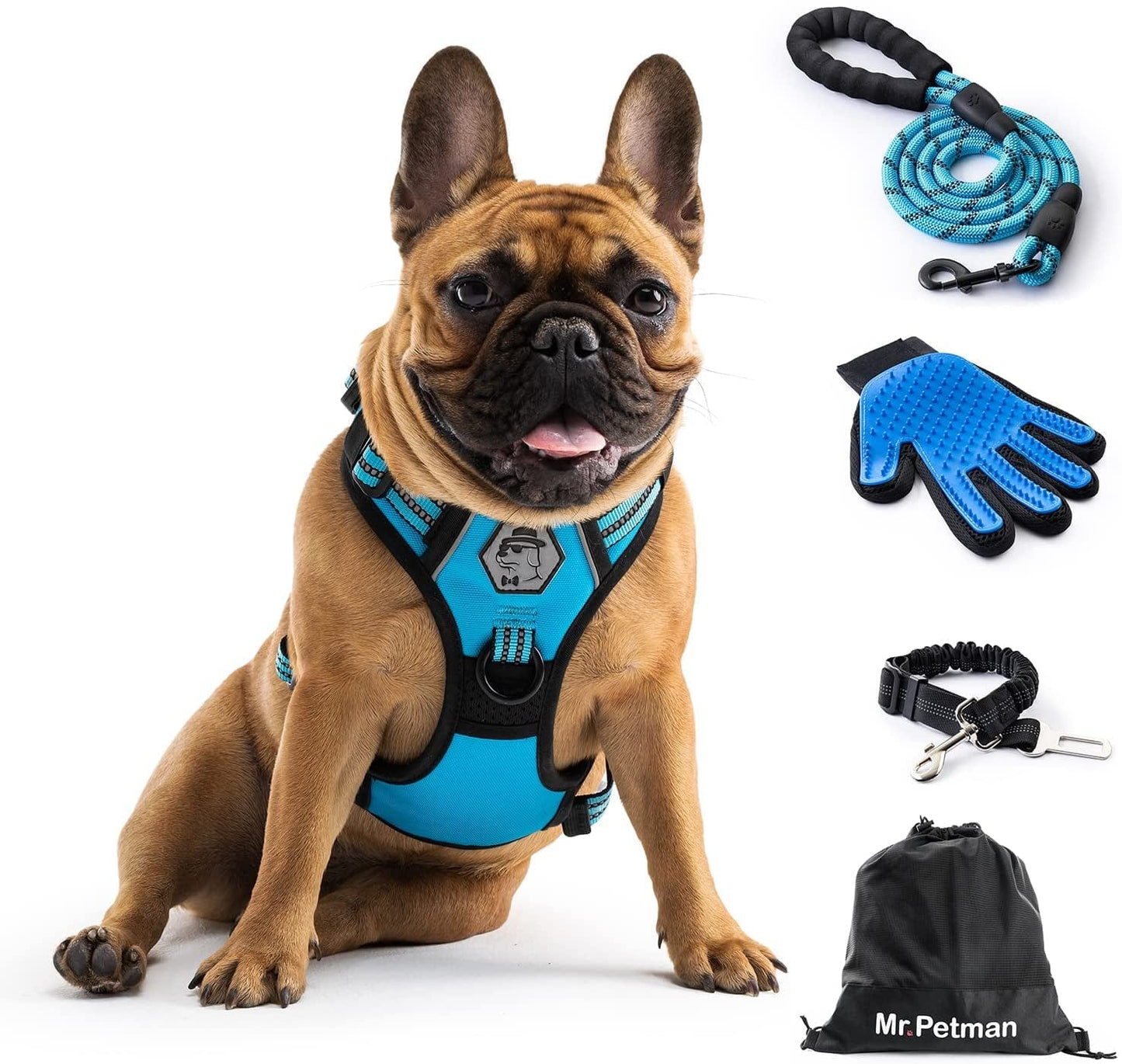 MR. PETMAN No Pull Dog Harness with Leash, Seat Belt, Grooming Glove - No Choke Dog Harness Set for Small Medium Large Dogs- Reflective Adjustable Dog Vest Harnesses with Handle for Walking Training Animals & Pet Supplies > Pet Supplies > Dog Supplies > Dog Apparel Mr. Petman Sky Blue Small 