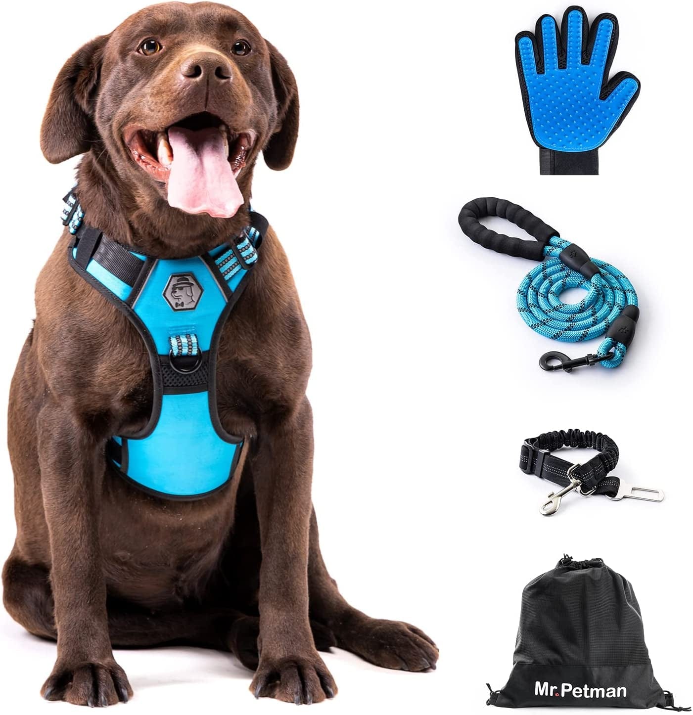 MR. PETMAN No Pull Dog Harness with Leash, Seat Belt, Grooming Glove - No Choke Dog Harness Set for Small Medium Large Dogs- Reflective Adjustable Dog Vest Harnesses with Handle for Walking Training Animals & Pet Supplies > Pet Supplies > Dog Supplies > Dog Apparel Mr. Petman Sky Blue X-Large 