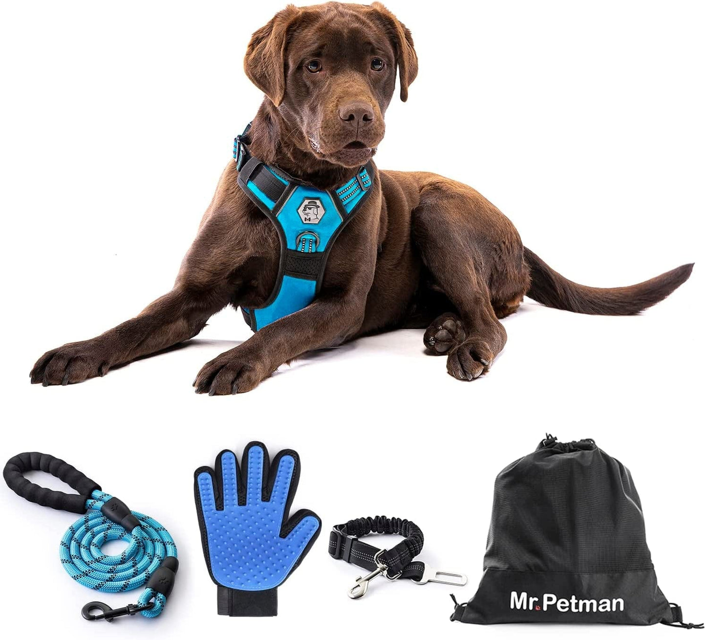 MR. PETMAN No Pull Dog Harness with Leash, Seat Belt, Grooming Glove - No Choke Dog Harness Set for Small Medium Large Dogs- Reflective Adjustable Dog Vest Harnesses with Handle for Walking Training Animals & Pet Supplies > Pet Supplies > Dog Supplies > Dog Apparel Mr. Petman Sky Blue Large 
