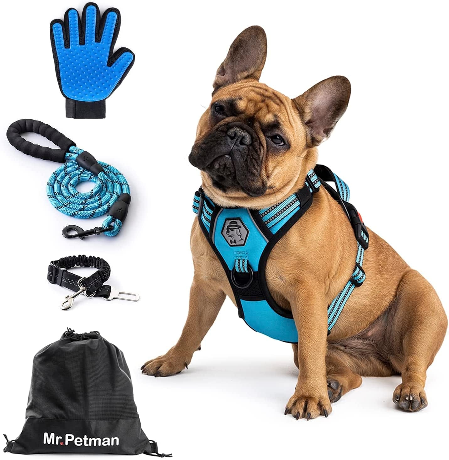 MR. PETMAN No Pull Dog Harness with Leash, Seat Belt, Grooming Glove - No Choke Dog Harness Set for Small Medium Large Dogs- Reflective Adjustable Dog Vest Harnesses with Handle for Walking Training Animals & Pet Supplies > Pet Supplies > Dog Supplies > Dog Apparel Mr. Petman Sky Blue Medium 