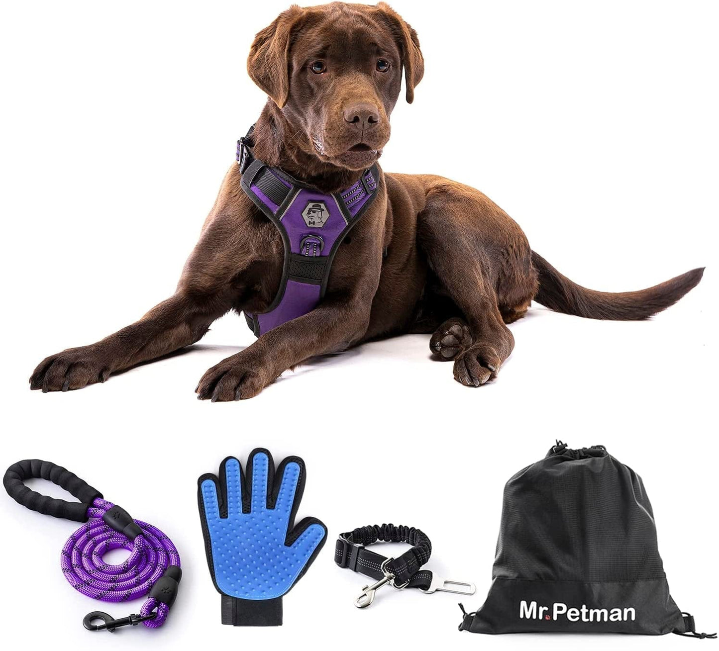 MR. PETMAN No Pull Dog Harness with Leash, Seat Belt, Grooming Glove - No Choke Dog Harness Set for Small Medium Large Dogs- Reflective Adjustable Dog Vest Harnesses with Handle for Walking Training Animals & Pet Supplies > Pet Supplies > Dog Supplies > Dog Apparel Mr. Petman Modern Purple Large 