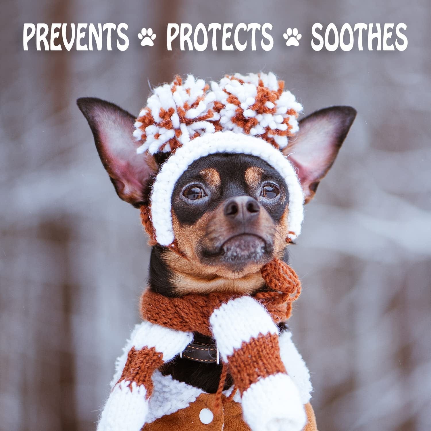 Musher'S Secret Dog Paw Wax 60 G (2.1 Oz) - Moisturizing Dog Paw Balm That Creates an Invisible Barrier That Protects and Heals Dry Cracked Paws - All-Natural with Vitamin E and Food-Grade Ingredients Animals & Pet Supplies > Pet Supplies > Dog Supplies > Dog Apparel Mushers Secret   