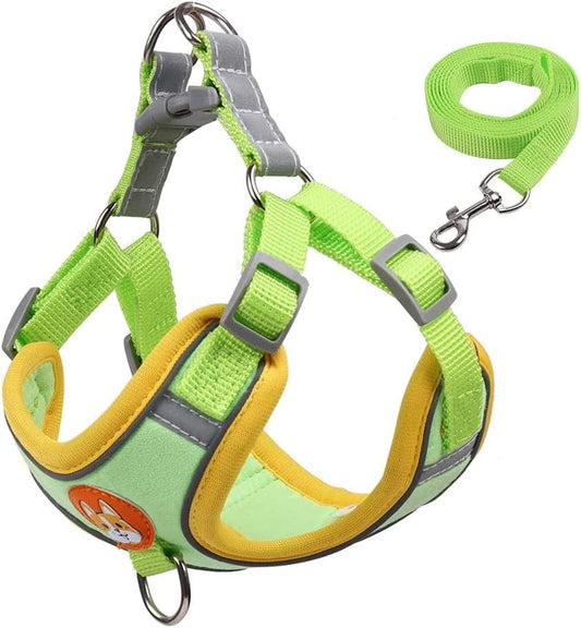 No Pull Pet Dog Harness and Leash Set Adjustable Puppy Cat Harness Vest Reflective Walking Lead Leash for Small Dogs Chihuahua (M 3.5-6.5 Kg,Green) Animals & Pet Supplies > Pet Supplies > Dog Supplies > Dog Apparel ALPTEC Green L 7-10 kg 