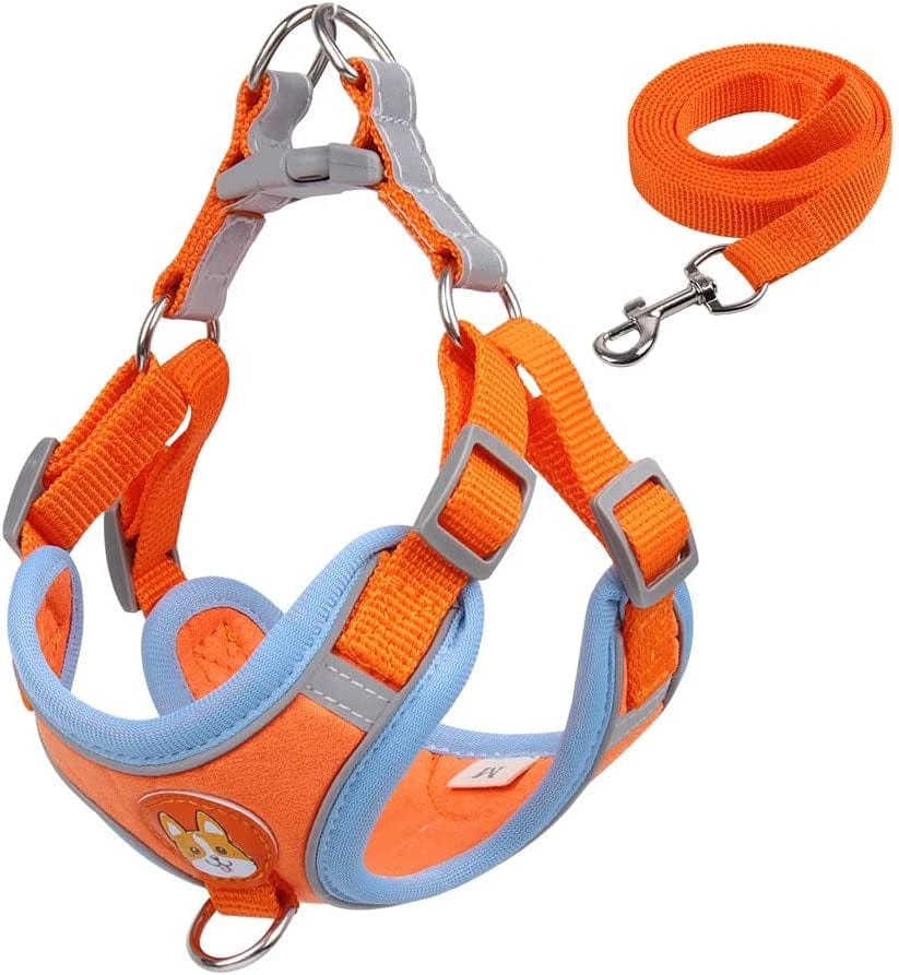 No Pull Pet Dog Harness and Leash Set Adjustable Puppy Cat Harness