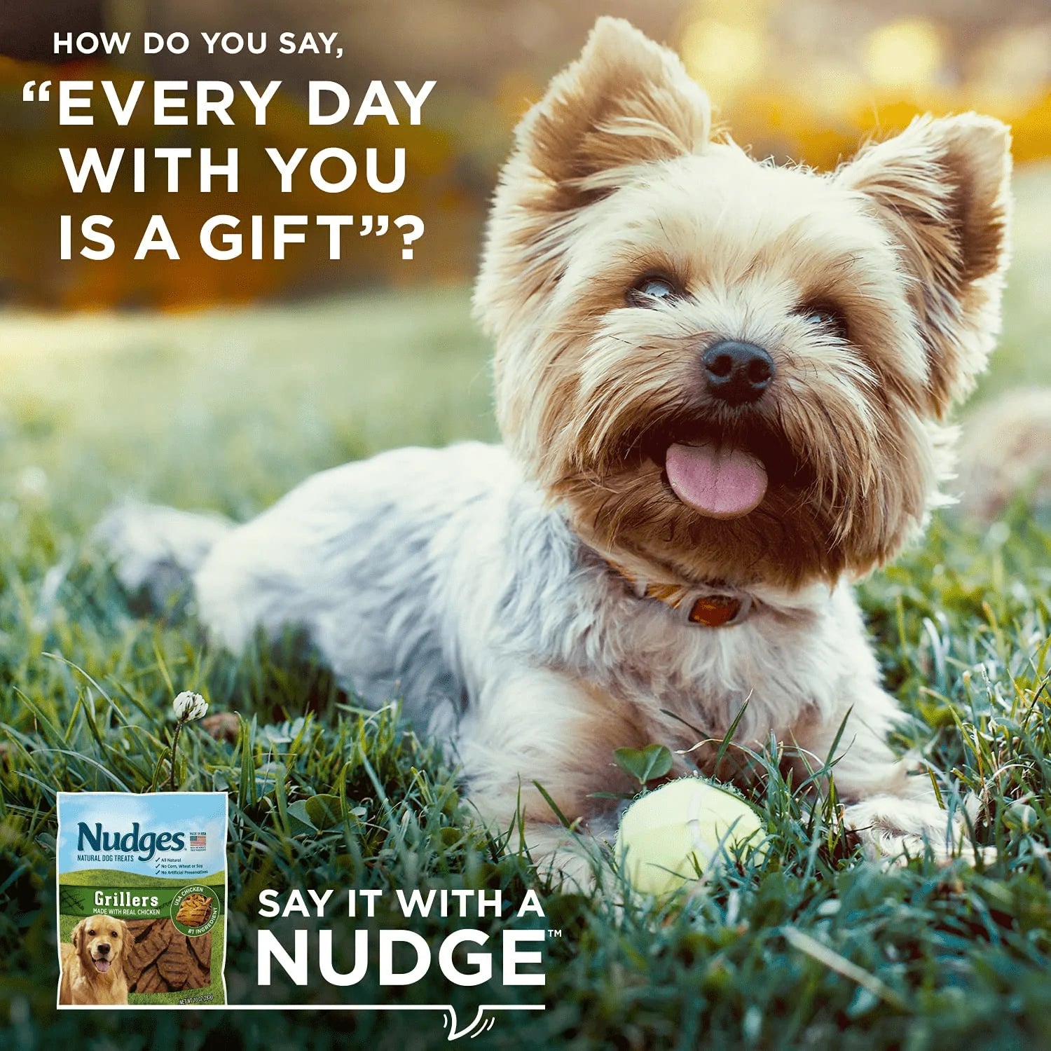 Nudges Chicken Grillers Dog Treats Animals & Pet Supplies > Pet Supplies > Dog Supplies > Dog Treats Nudges   