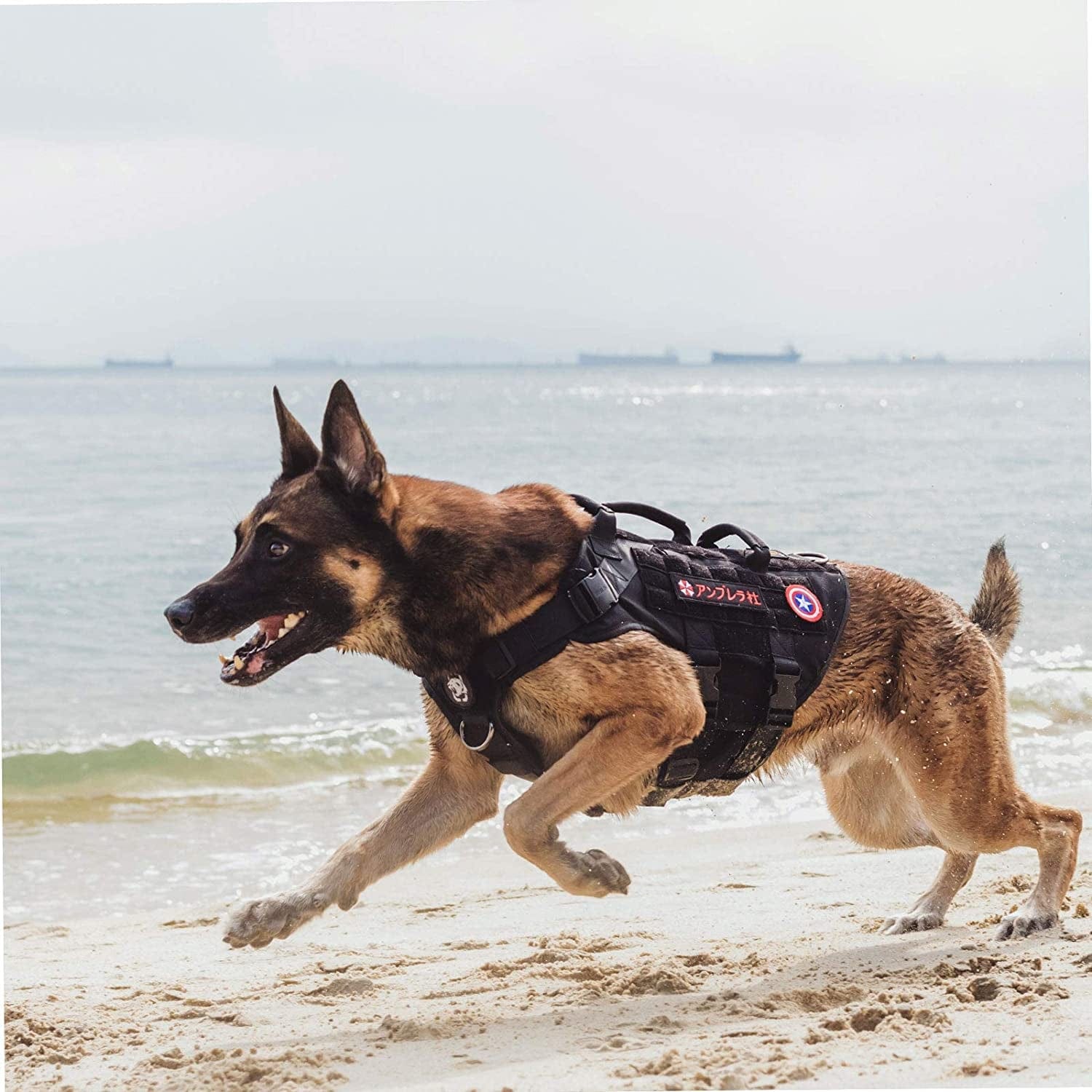 Onetigris Large Tactical Dog Harness, No Pulling Adjustable Dog Vest Harness, Heavy Duty Dog Harness with Handle, Large Hook and Loop Panels for Patch Animals & Pet Supplies > Pet Supplies > Dog Supplies > Dog Apparel OneTigris   