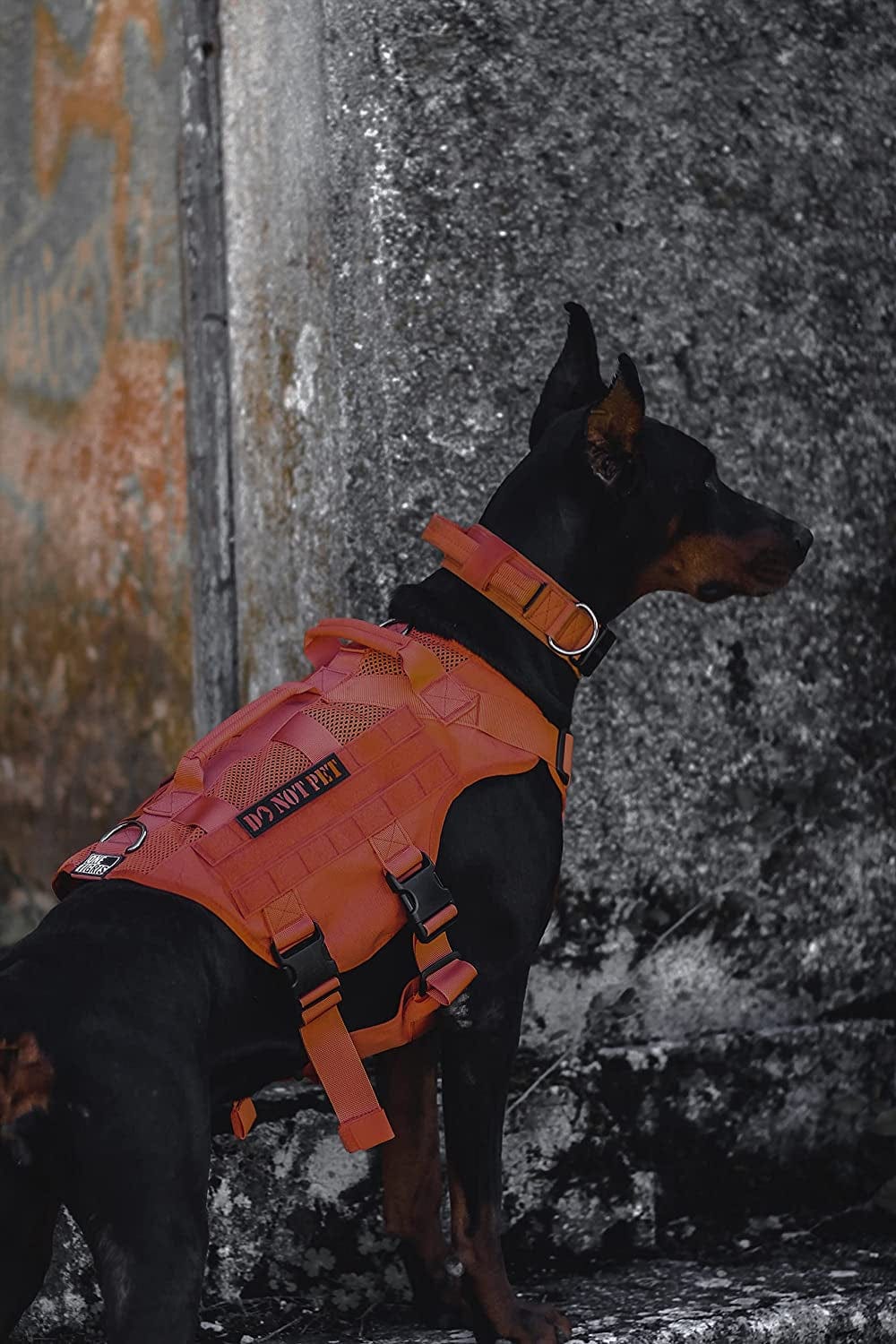 OneTigris Tactical Dog Harness Vest with Handle, Military Dog