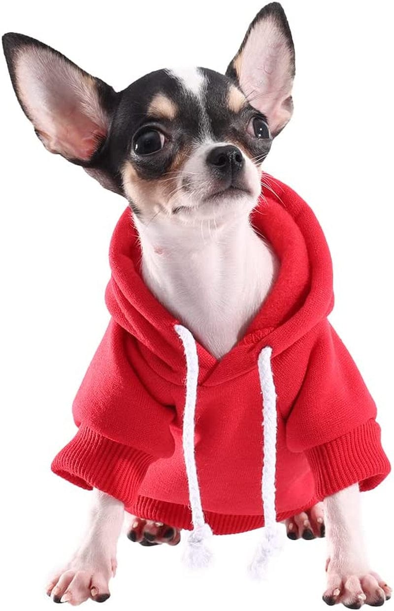 El Paso Chihuahuas Cute Chihuahua Angry Dog Shirt, hoodie, sweater