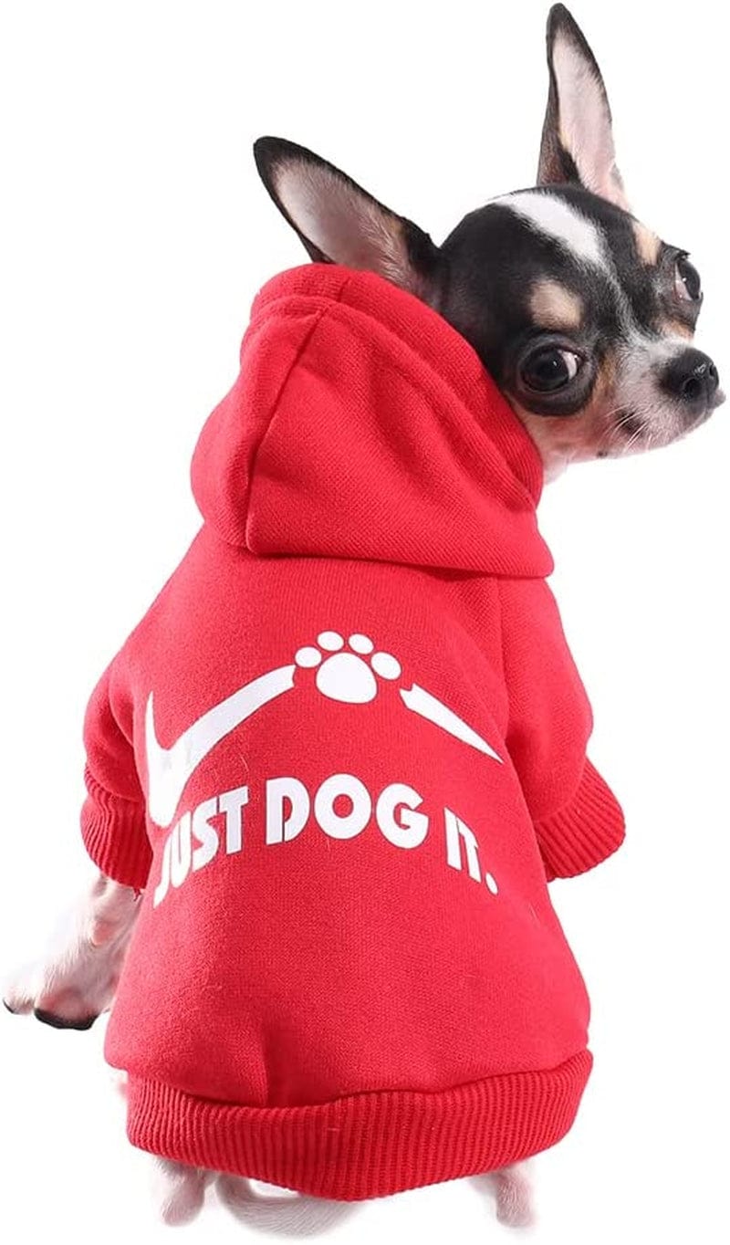 El Paso Chihuahuas Cute Chihuahua Angry Dog Shirt, hoodie, sweater
