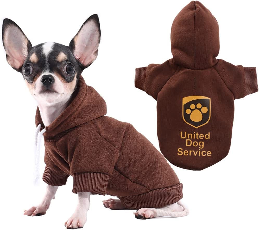  Gootailor Basic Small Dog Hoodies with Leash Hole and Pocket  Warm Soft Puppy Sweatshirt Cute Comfortable Doggie Sweater Pet Clothes for  Small Dogs Medium Orange : Pet Supplies