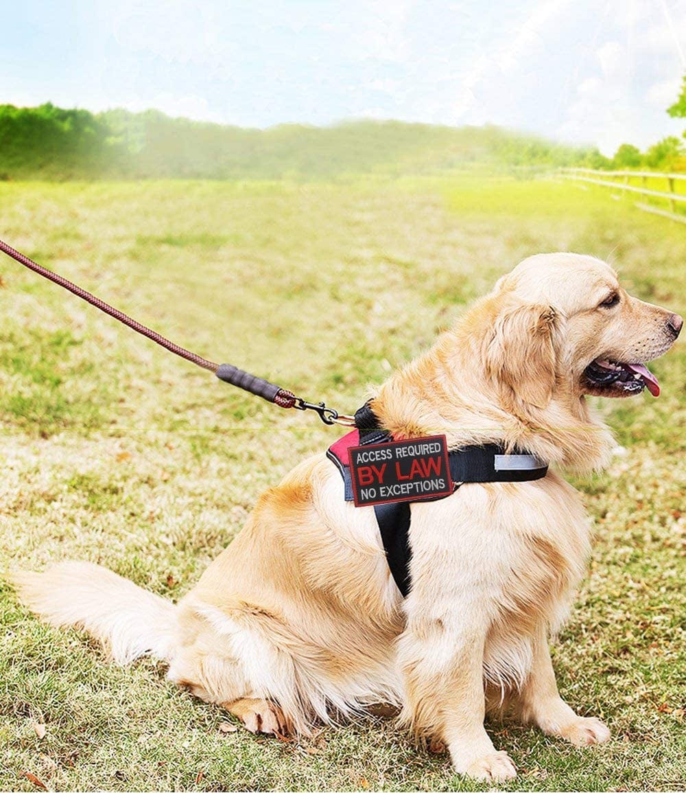 Patch Service Dog Access Required by Law No Exceptions Vests/Harnesses Emblem Embroidered Fastener Hook & Loop Patch (Service Dog by Law-6) Animals & Pet Supplies > Pet Supplies > Dog Supplies > Dog Apparel Ehope   