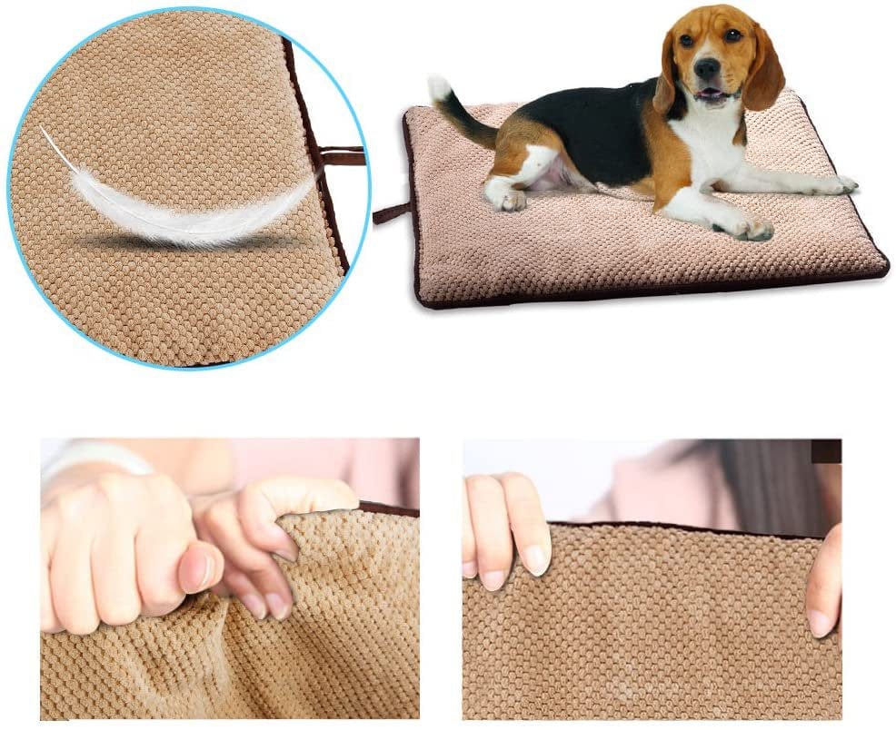 PAWISE Pet Cushion Dog Cat Mat Washable Mattress Teflon Defender Dog Beds Dog Cushion Crate Cage Puppy Bed, Large