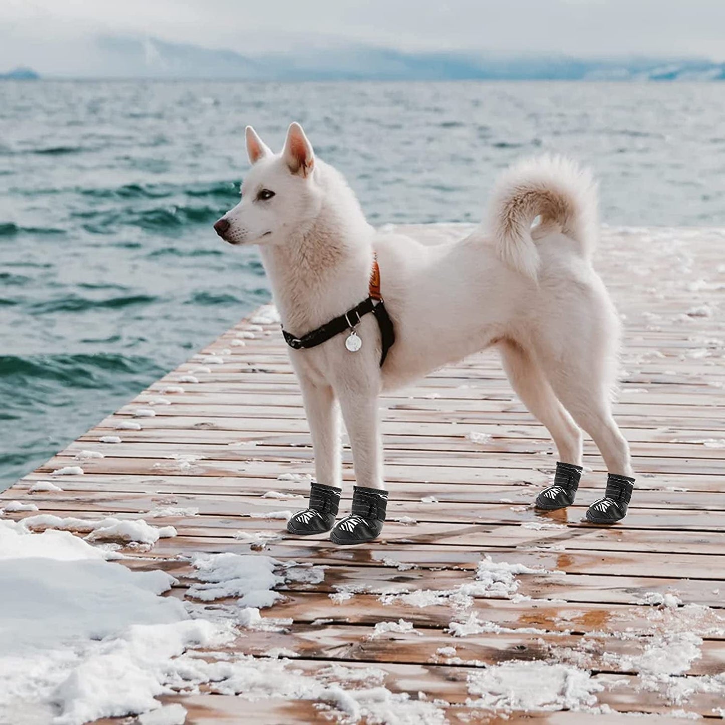 PAWOLOGY Dogs Boots Waterproof, Paw Protectors for Rain Snow Hot Pavement, Outdoor Hiking Dog Shoes, with Reflective Straps, Anti-Slip Soles, Adjustable, Durable, for Small Medium Large Dogs, 4PCS Animals & Pet Supplies > Pet Supplies > Dog Supplies > Dog Apparel PAWOLOGY   