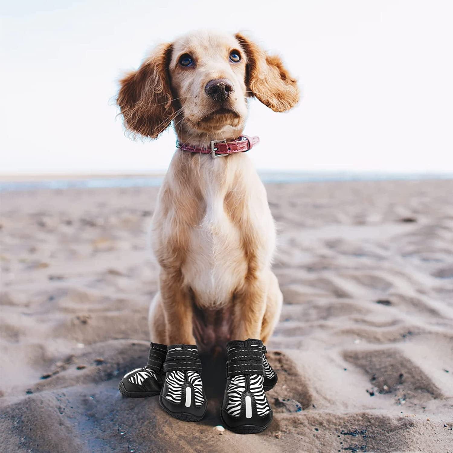 PAWOLOGY Dogs Boots Waterproof, Paw Protectors for Rain Snow Hot Pavement, Outdoor Hiking Dog Shoes, with Reflective Straps, Anti-Slip Soles, Adjustable, Durable, for Small Medium Large Dogs, 4PCS Animals & Pet Supplies > Pet Supplies > Dog Supplies > Dog Apparel PAWOLOGY   