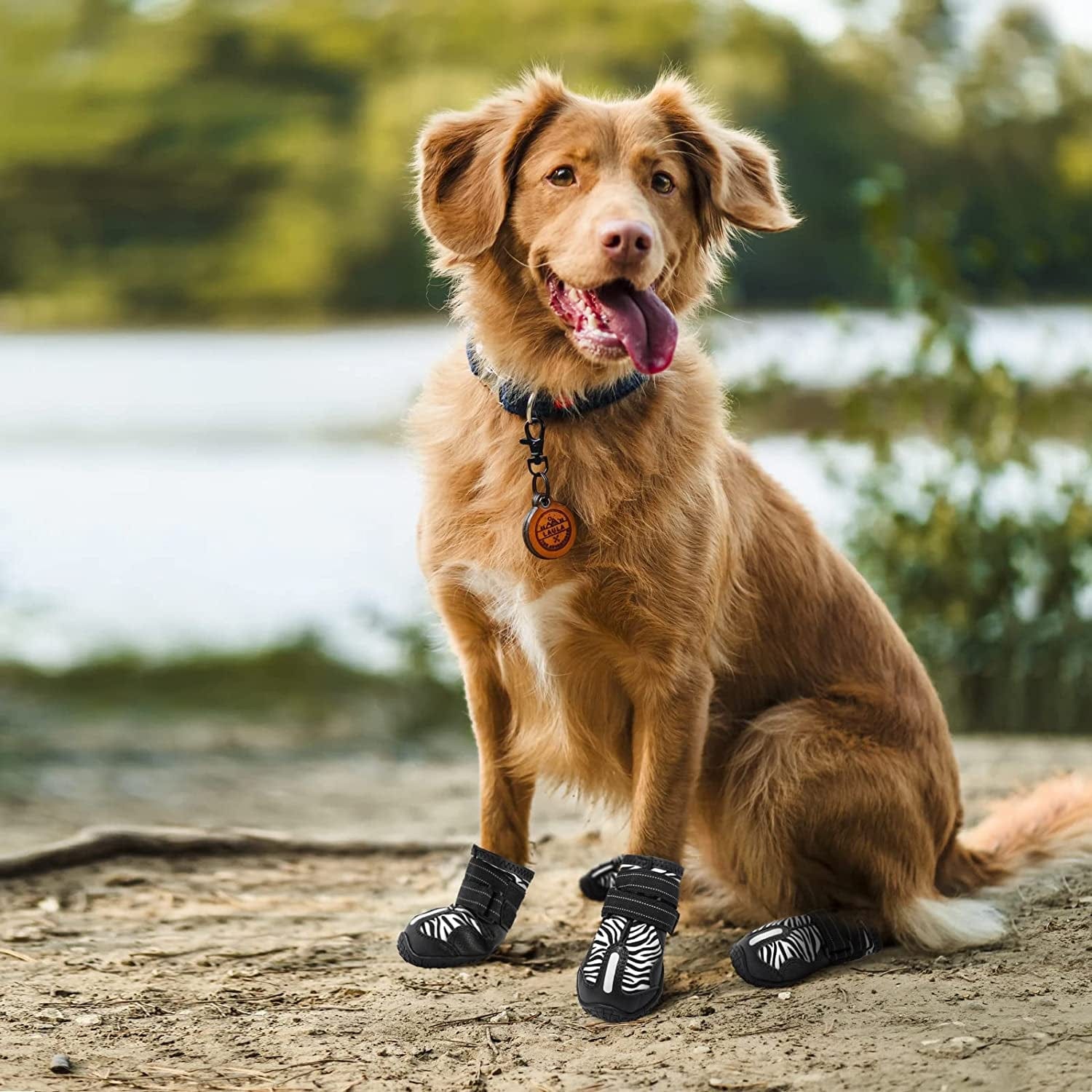 PAWOLOGY Dogs Boots Waterproof, Paw Protectors for Rain Snow Hot Pavement, Outdoor Hiking Dog Shoes, with Reflective Straps, Anti-Slip Soles, Adjustable, Durable, for Small Medium Large Dogs, 4PCS Animals & Pet Supplies > Pet Supplies > Dog Supplies > Dog Apparel PAWOLOGY   