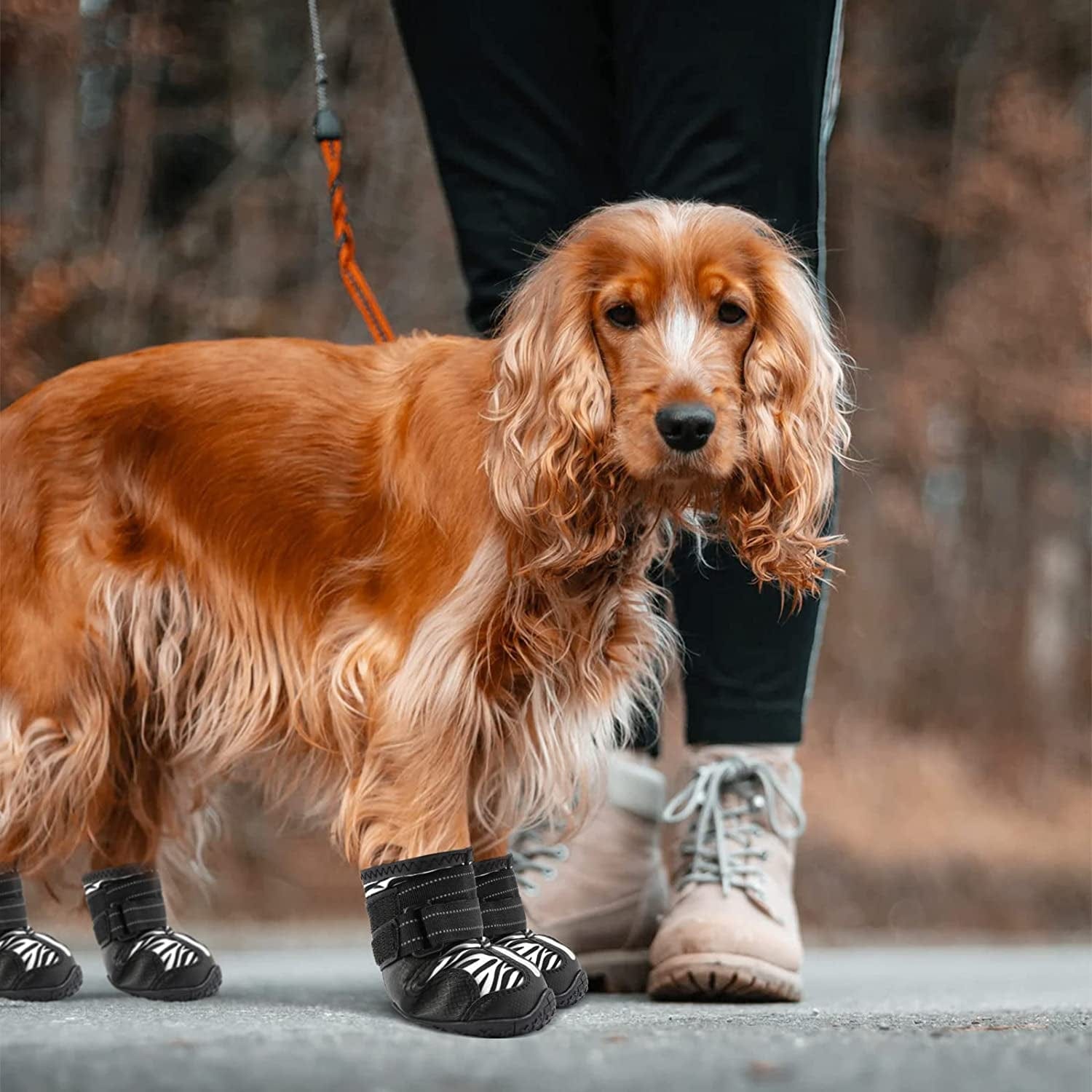 PAWOLOGY Dogs Boots Waterproof, Paw Protectors for Rain Snow Hot Pavement, Outdoor Hiking Dog Shoes, with Reflective Straps, Anti-Slip Soles, Adjustable, Durable, for Small Medium Large Dogs, 4PCS Animals & Pet Supplies > Pet Supplies > Dog Supplies > Dog Apparel PAWOLOGY   