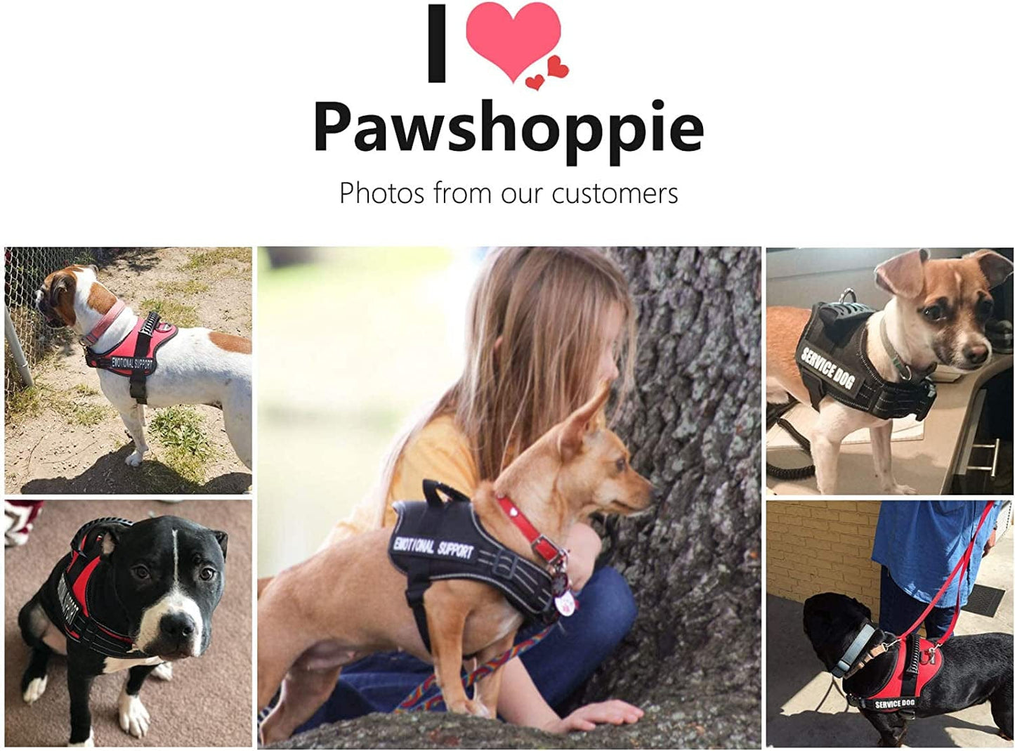 Pawshoppie Real Reflective Service Dog Vest Harness with 2 Free Removable Service Dog and 2 “Emotional Support’’ Patches, Woven Polyester & Nylon, Comfy Soft Padding (M(Girth:25-31''), Black) Animals & Pet Supplies > Pet Supplies > Dog Supplies > Dog Apparel Pawshoppie   